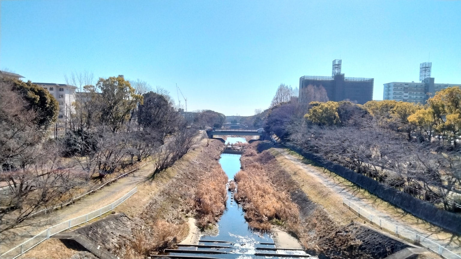 Paysage avec un ruisseau sous un ciel bleu et des arbres environnants