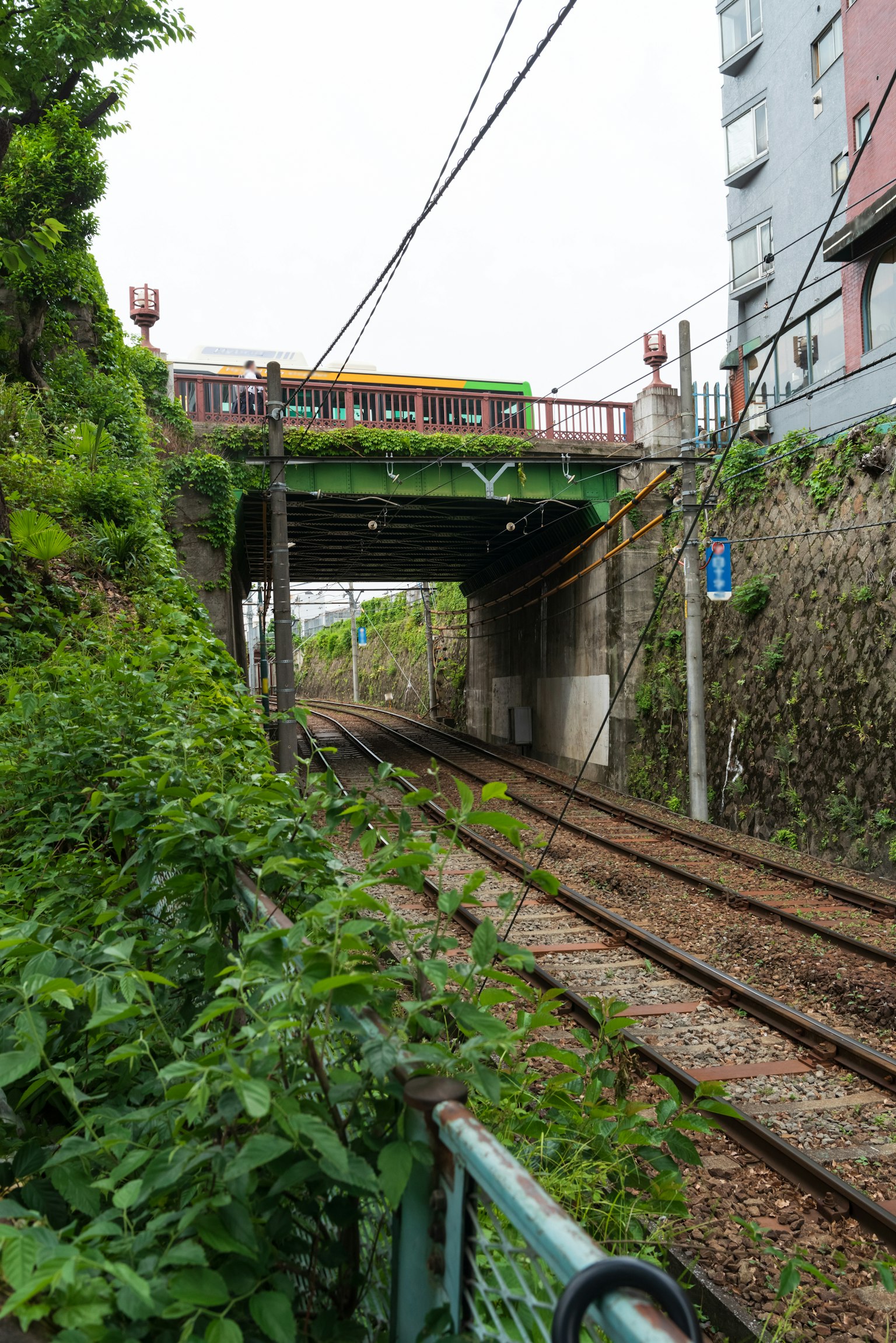 Un tunnel ferroviaire recouvert de plantes vertes et paysage environnant