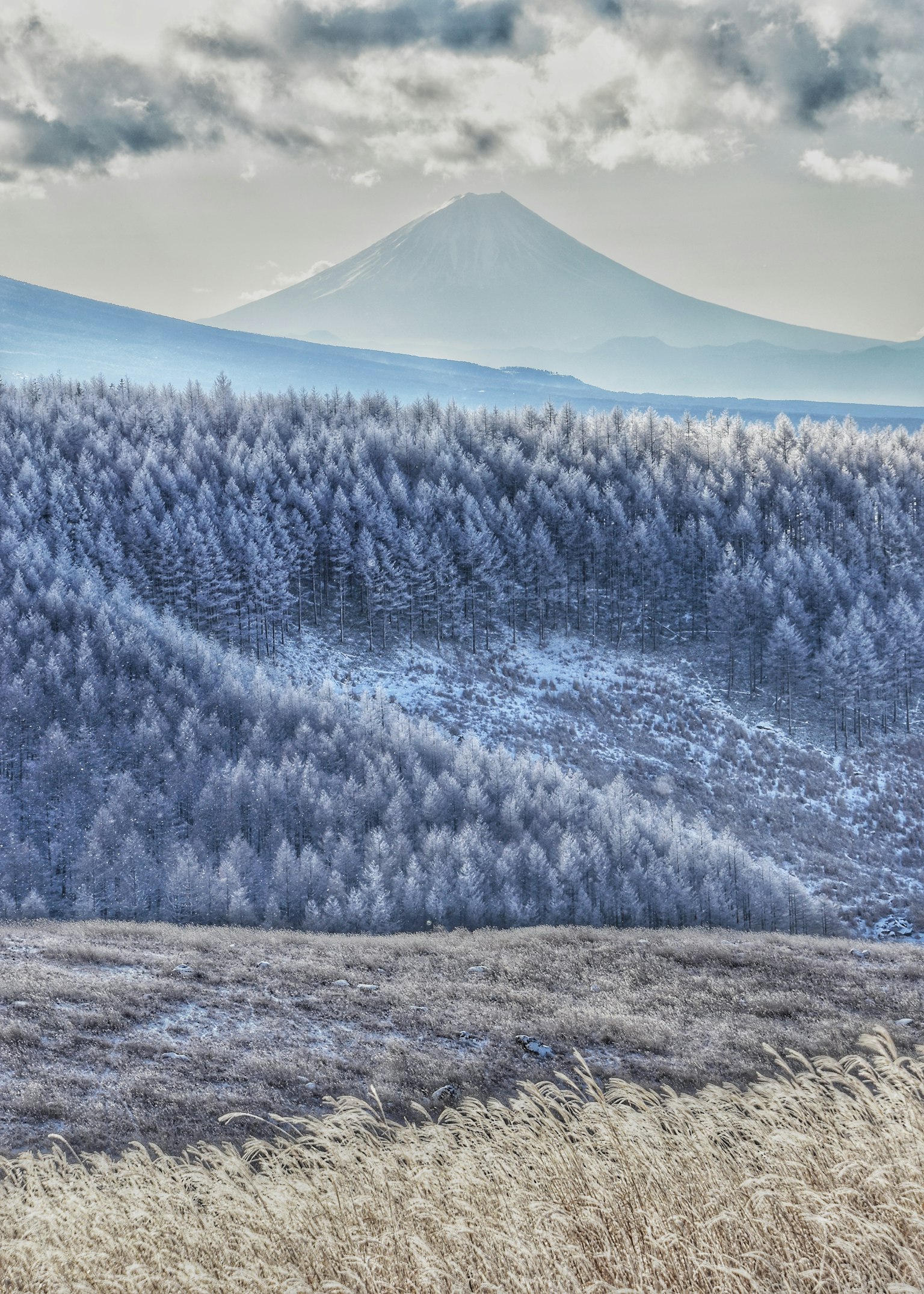 冬季風景，藍色山脈和霜凍森林，背景是富士山