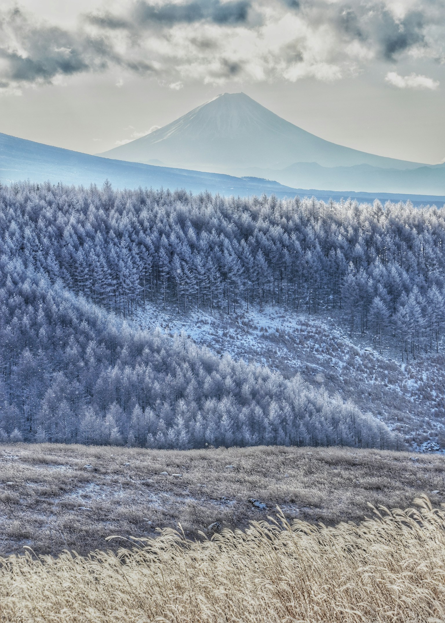 Pemandangan musim dingin dengan pegunungan biru dan hutan berembun dengan Gunung Fuji di latar belakang