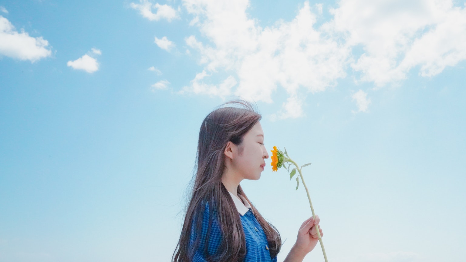 藍天下拿著花的女性側面