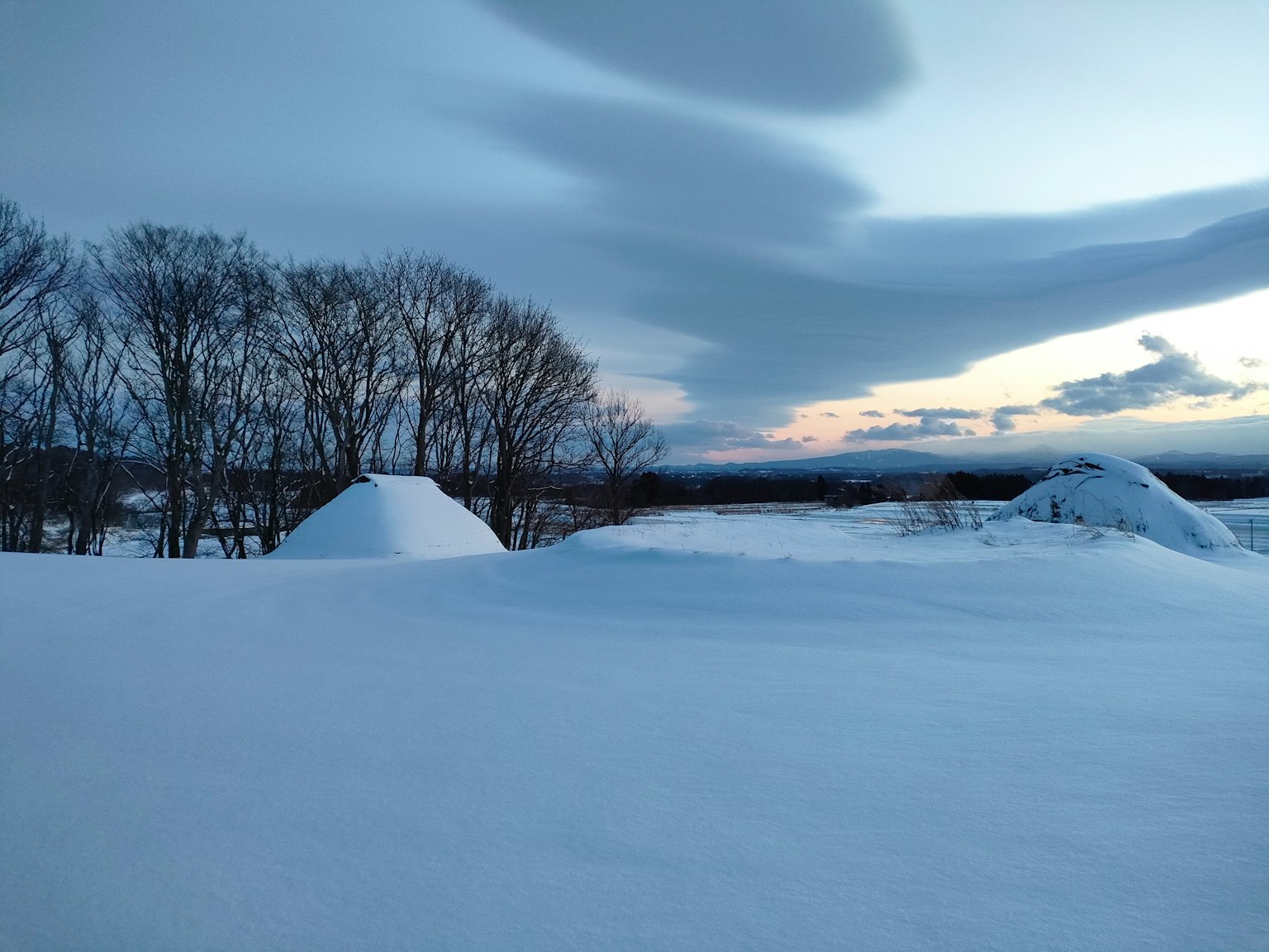Paesaggio innevato con alberi e nuvole basse