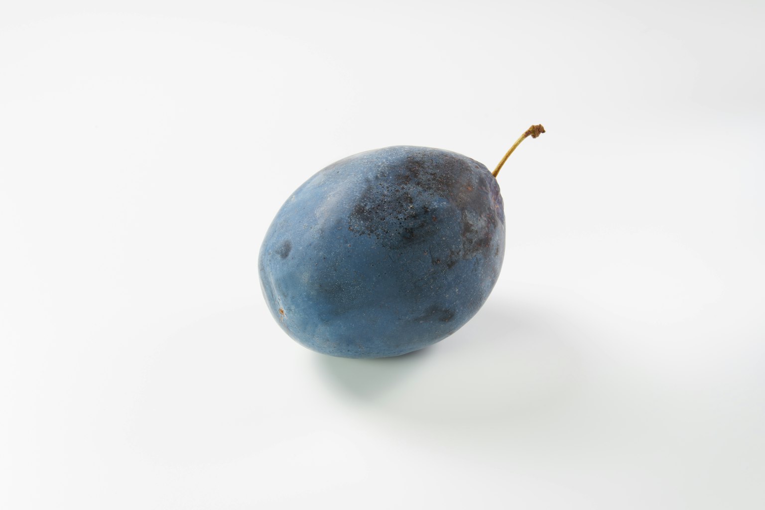 Una ciruela azul sobre un fondo blanco