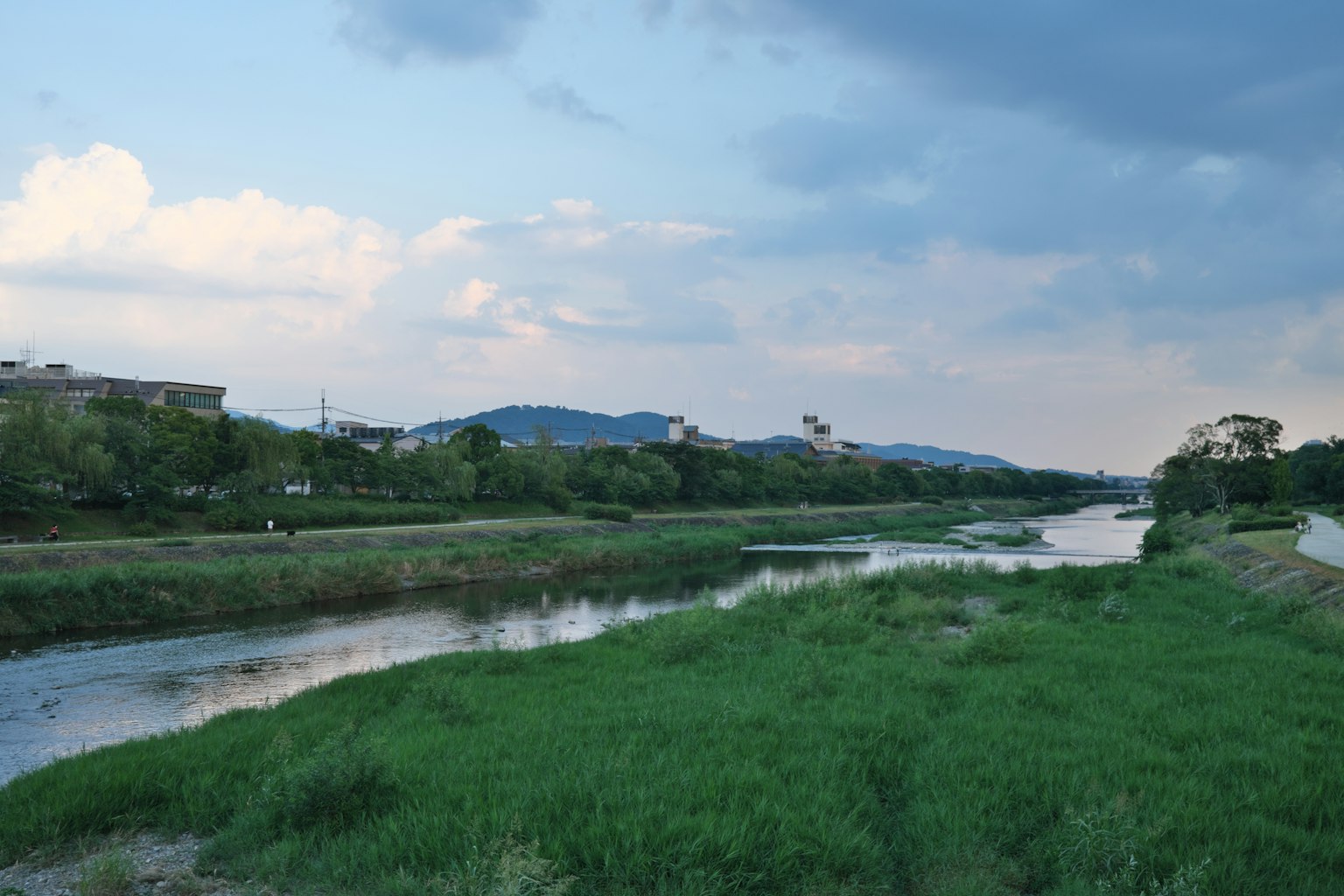 Paysage de rivière serein avec de l'herbe verte luxuriante