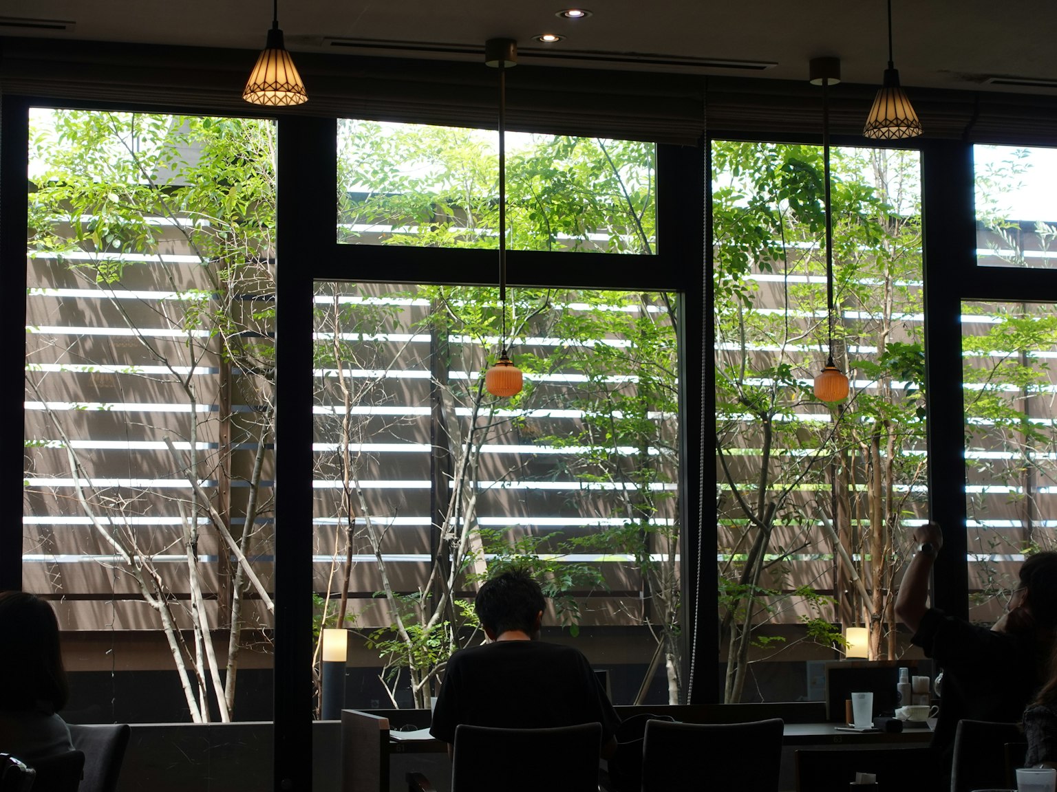 Una persona sentada en una cafetería con árboles verdes visibles a través de grandes ventanas