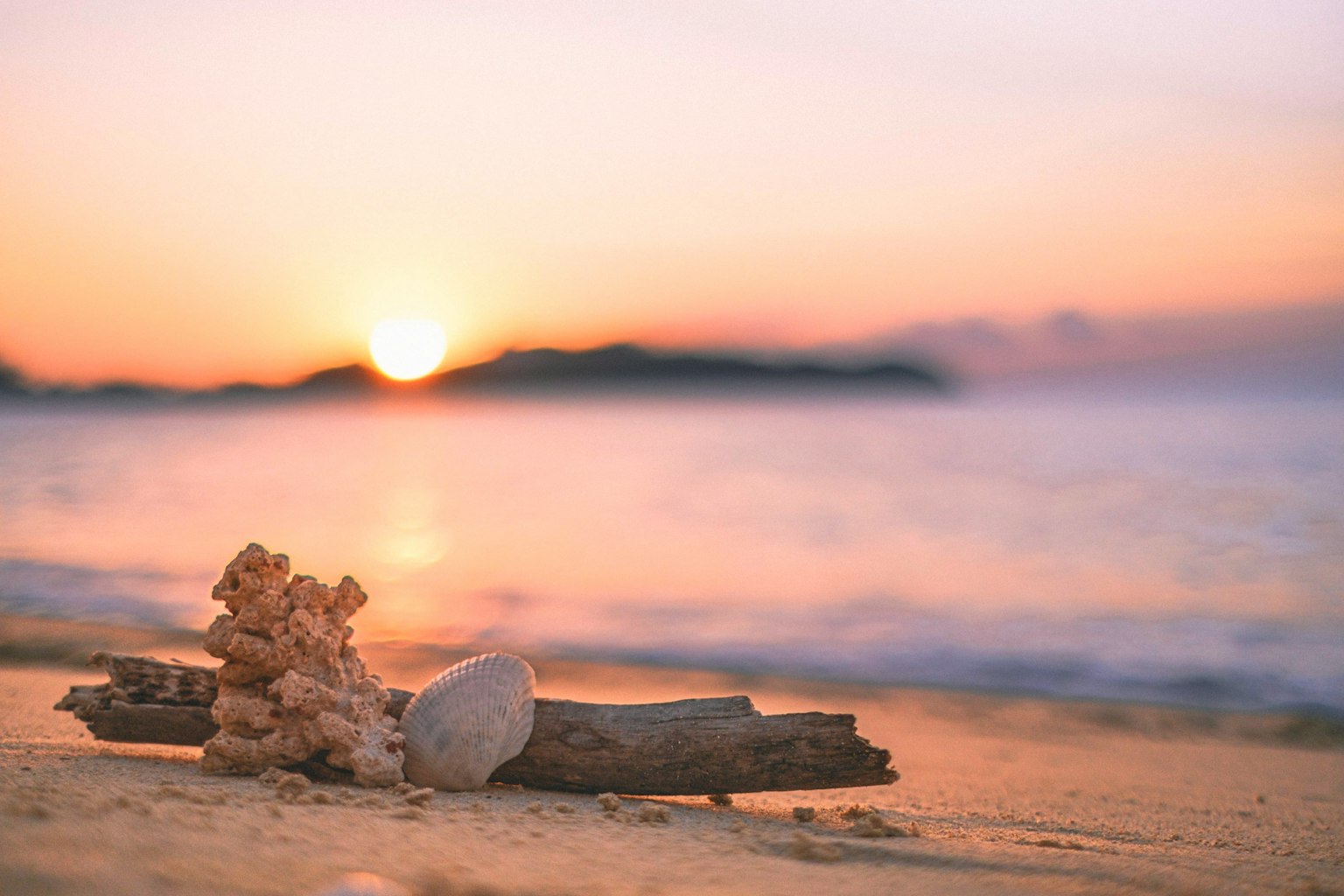 海滩景色与日落的漂流木和贝壳