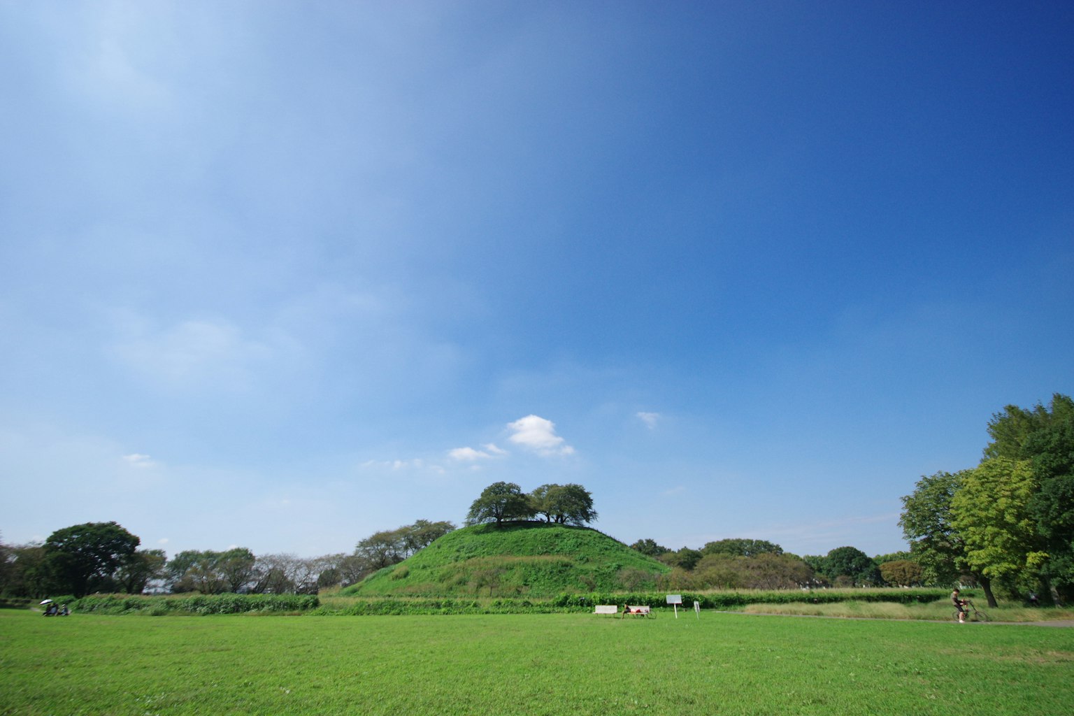 蓝天下的绿色小山和周围的茂盛草地