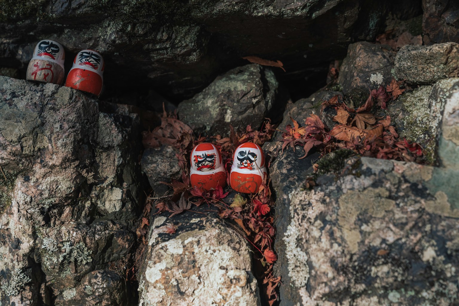 Muñecas daruma rojas entre rocas