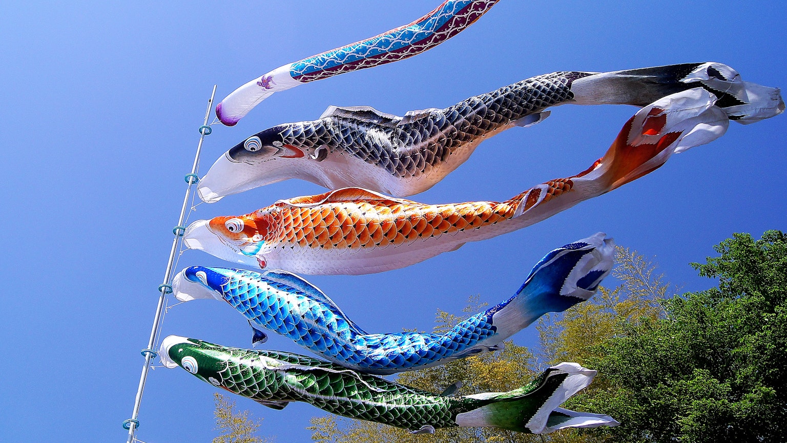 drapeaux colorés de koi flottant sous un ciel bleu clair