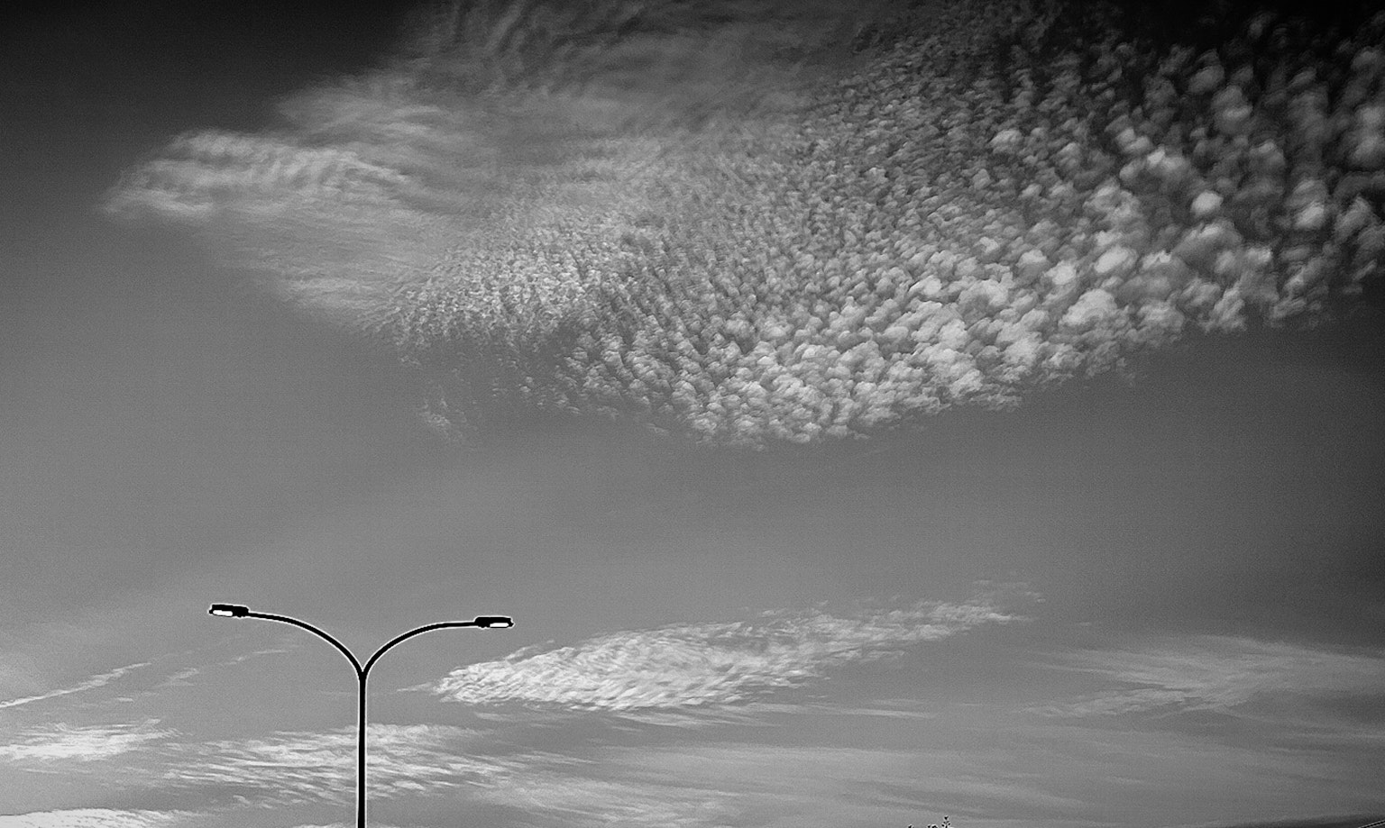 Silhouette von Straßenlaternen vor einem bewölkten Himmel