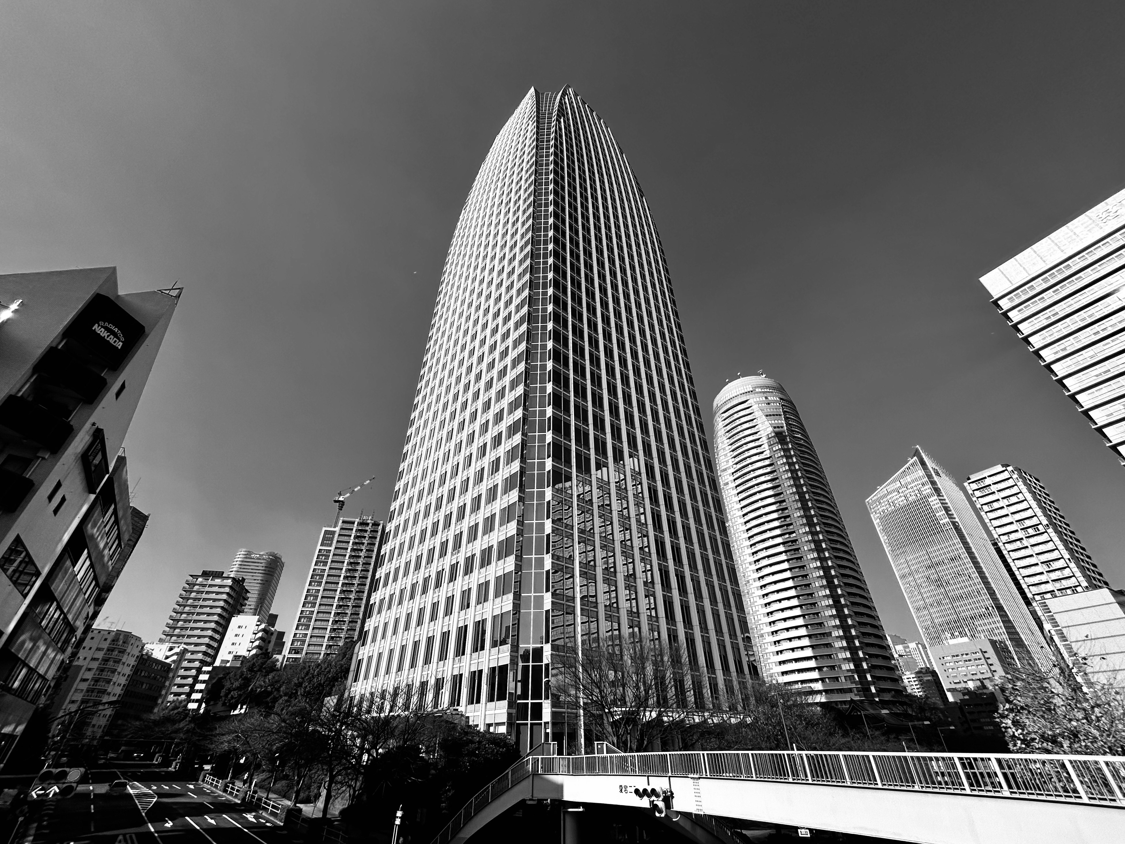 Horizonte urbano en monocromo con rascacielos imponentes