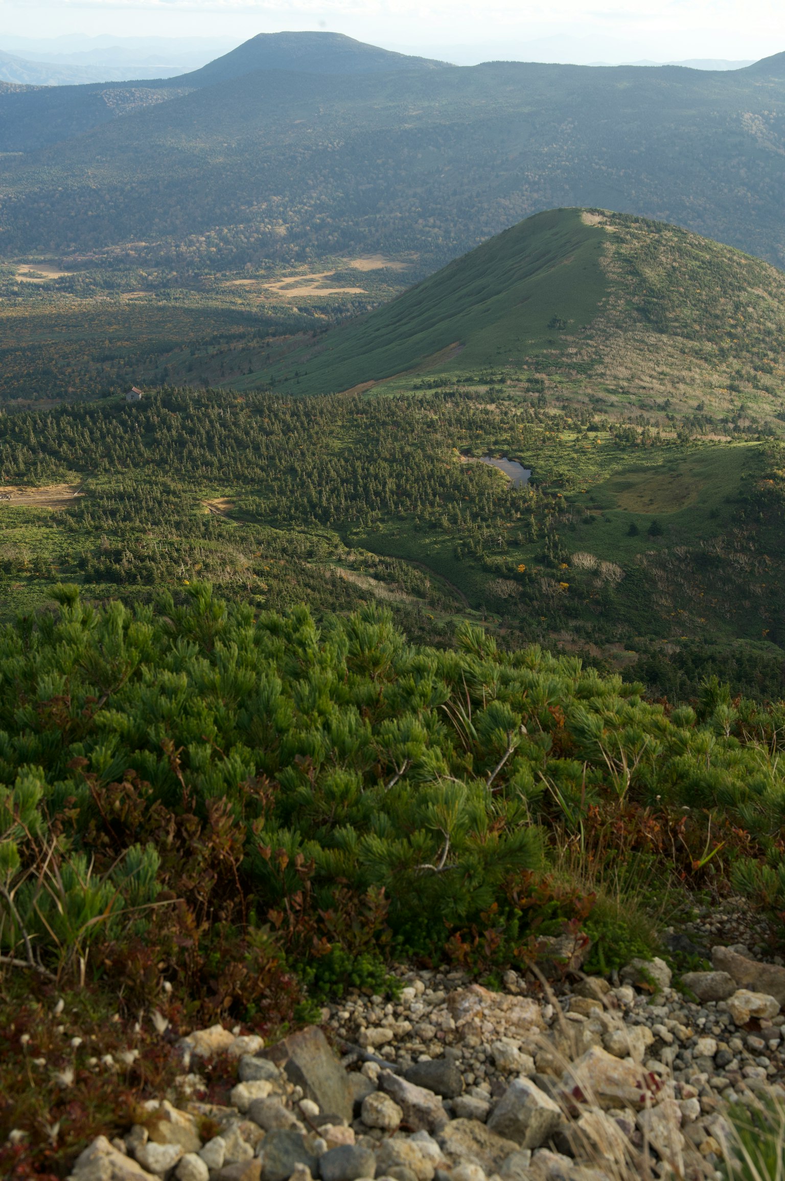 Vue pittoresque de montagnes et de collines vertes