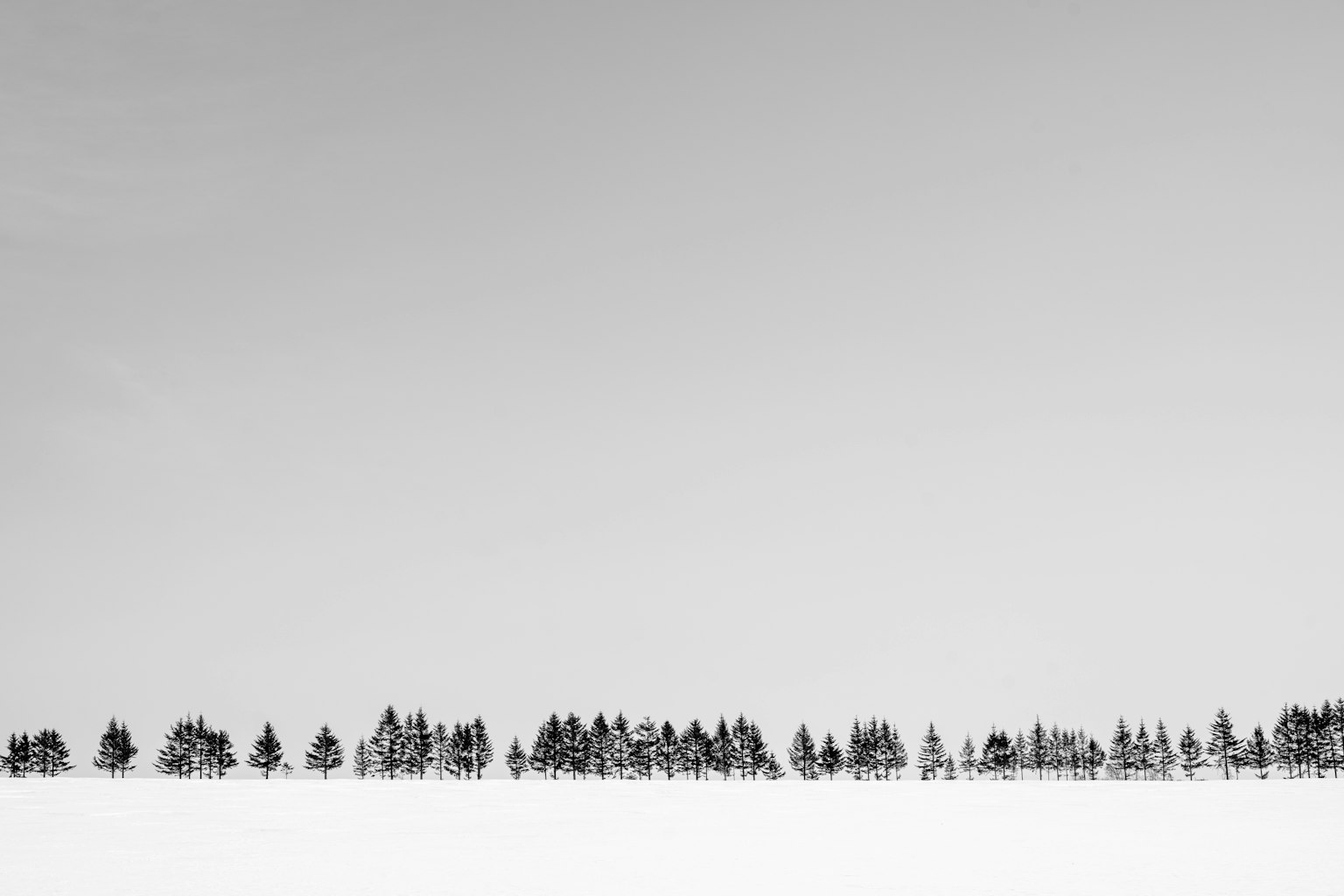 photo-5DSxZqh8iNeHup8QdG7O-image