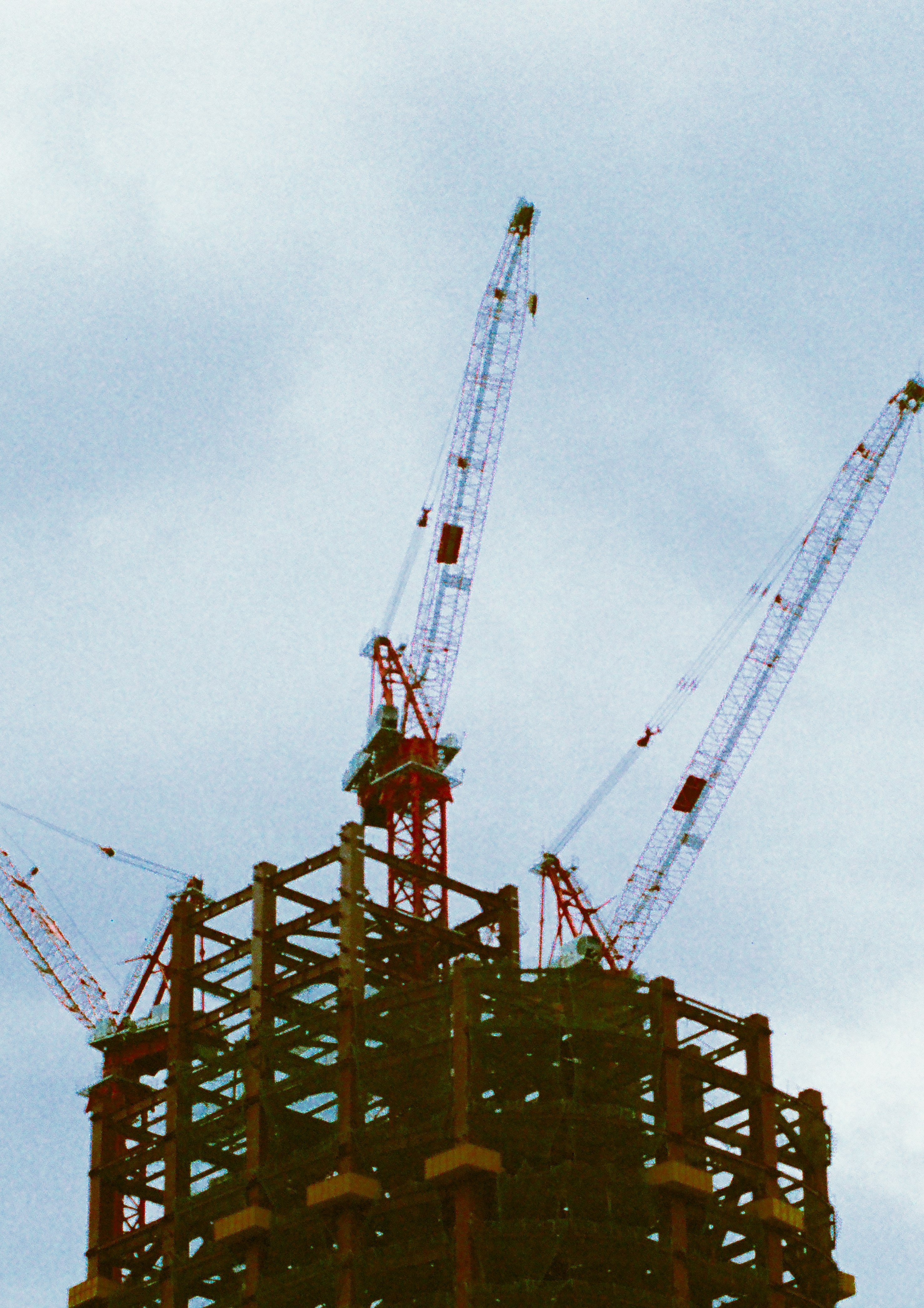 Cranes atop a construction site reaching towards the sky