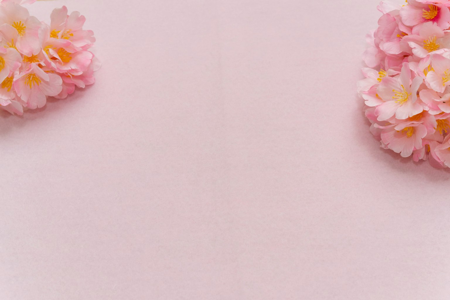Sfondo rosa chiaro con fiori di ciliegio disposti