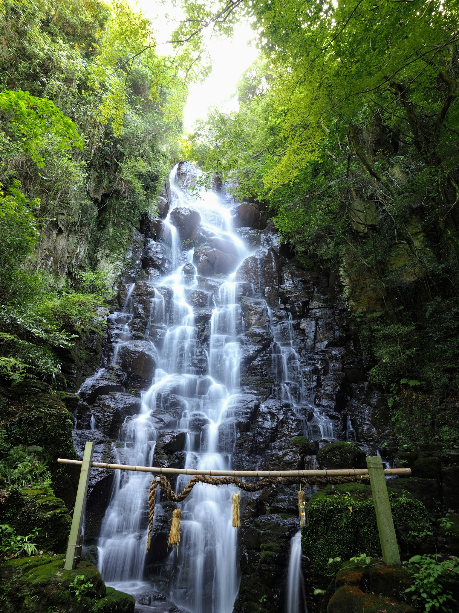 A beautiful waterfall cascading in a lush green landscape with a bamboo torii gate