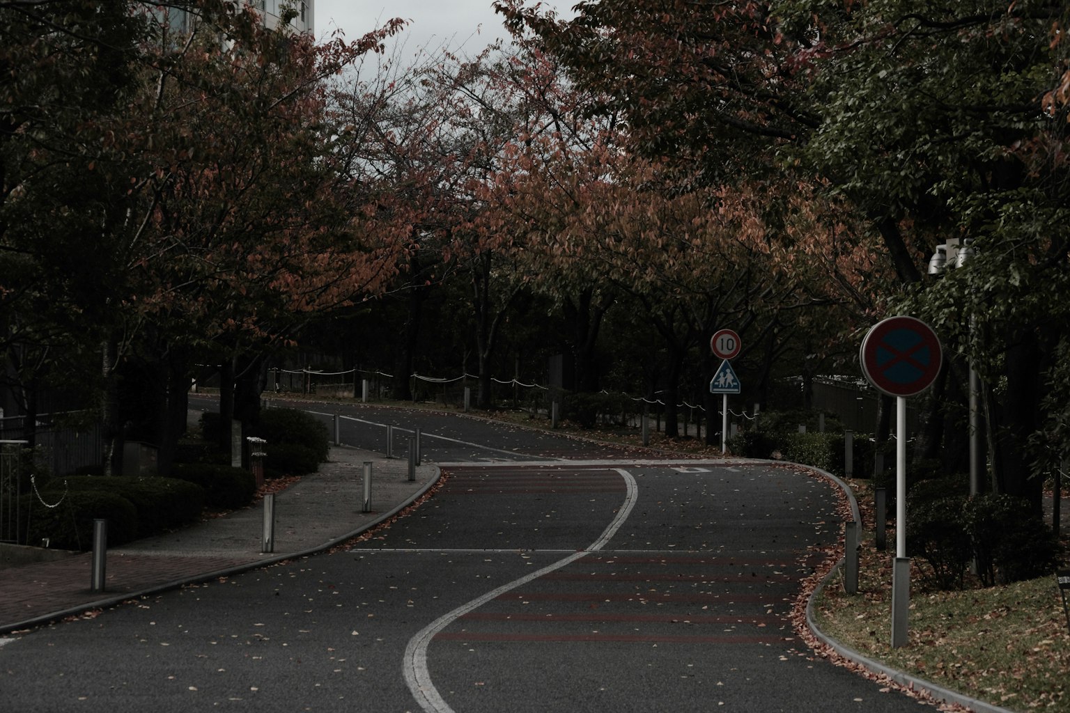 弯曲的道路被秋天色彩的树木环绕