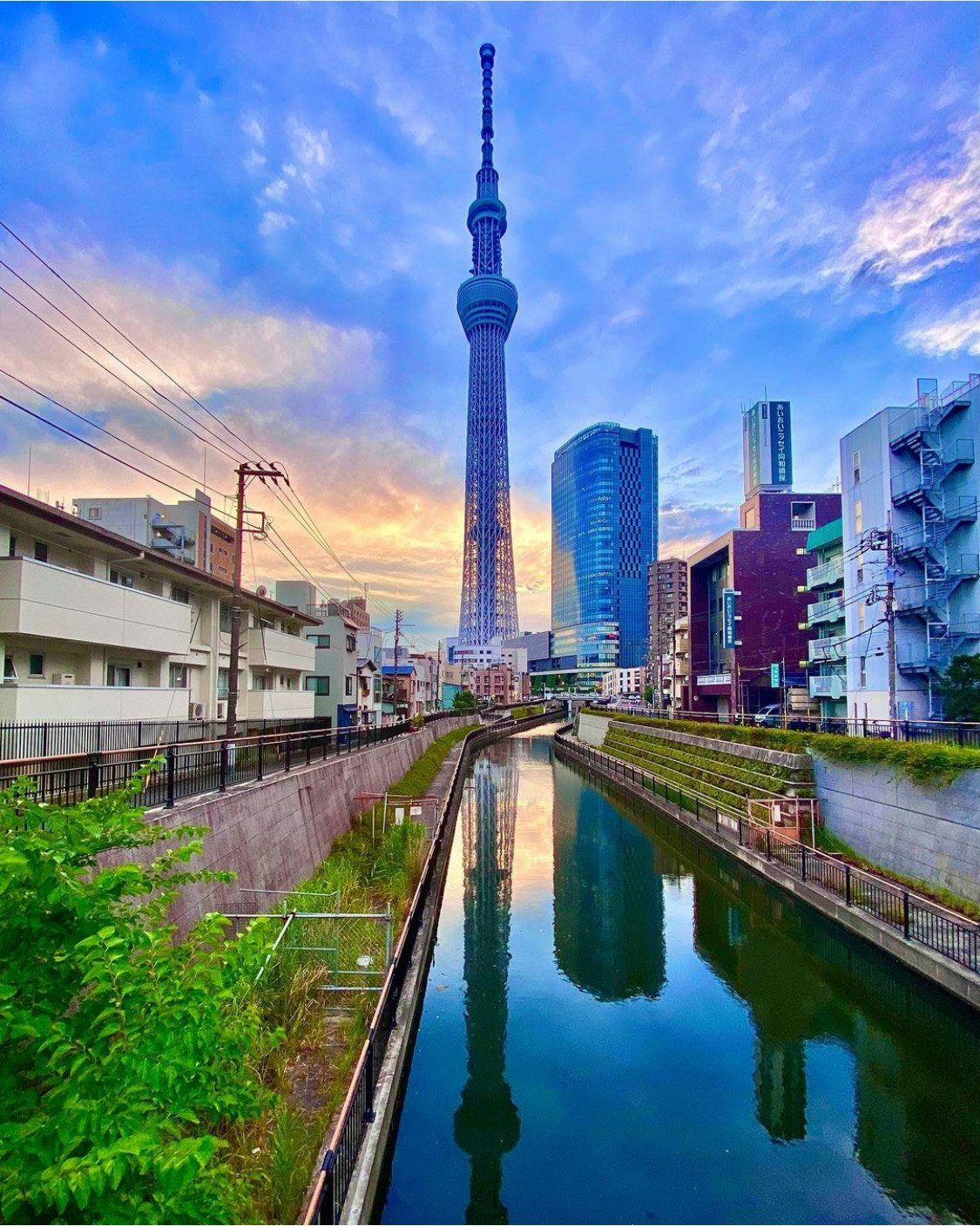 運河沿いの東京スカイツリーと街並みの風景