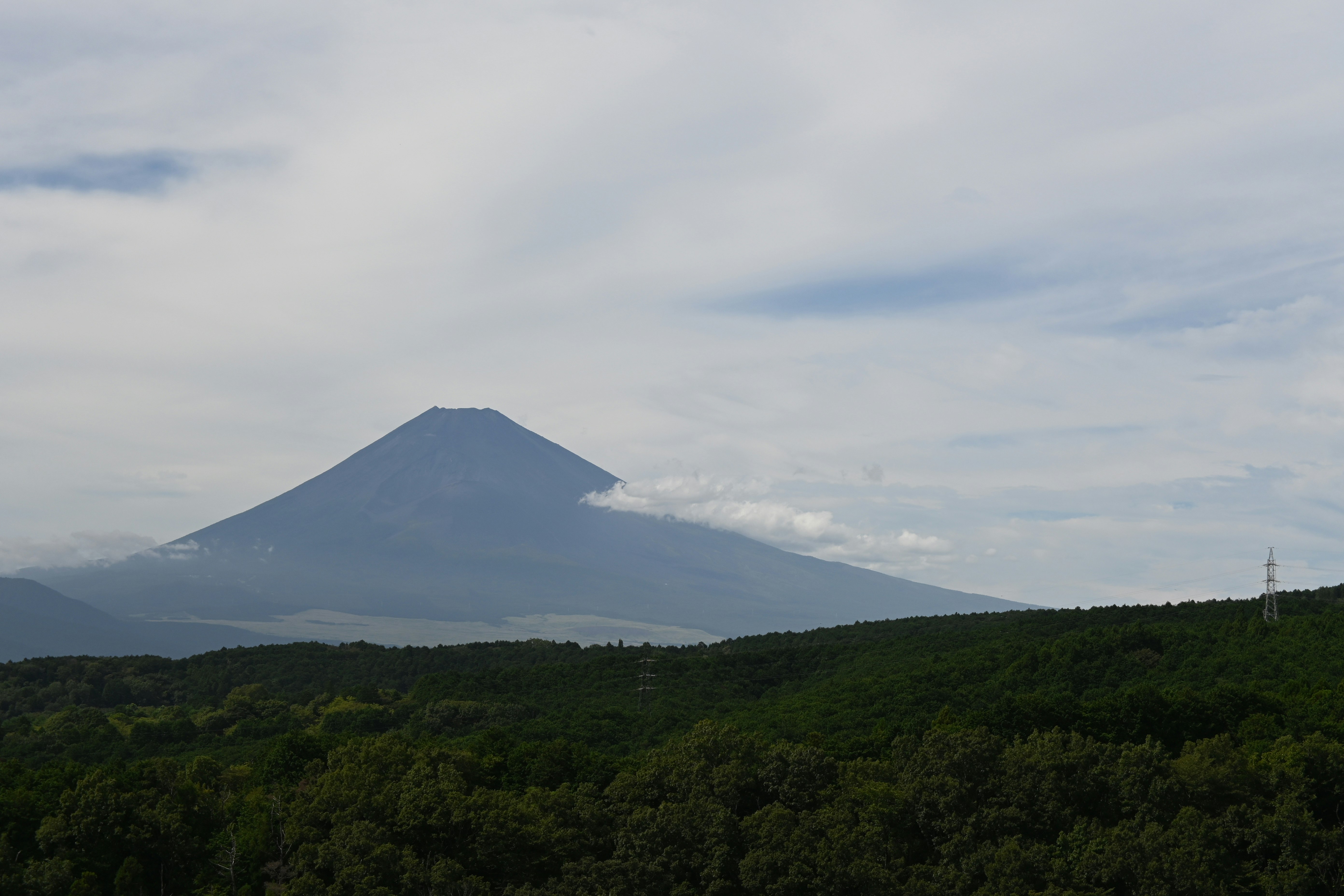 緑の森と遠くにそびえる山のシルエット