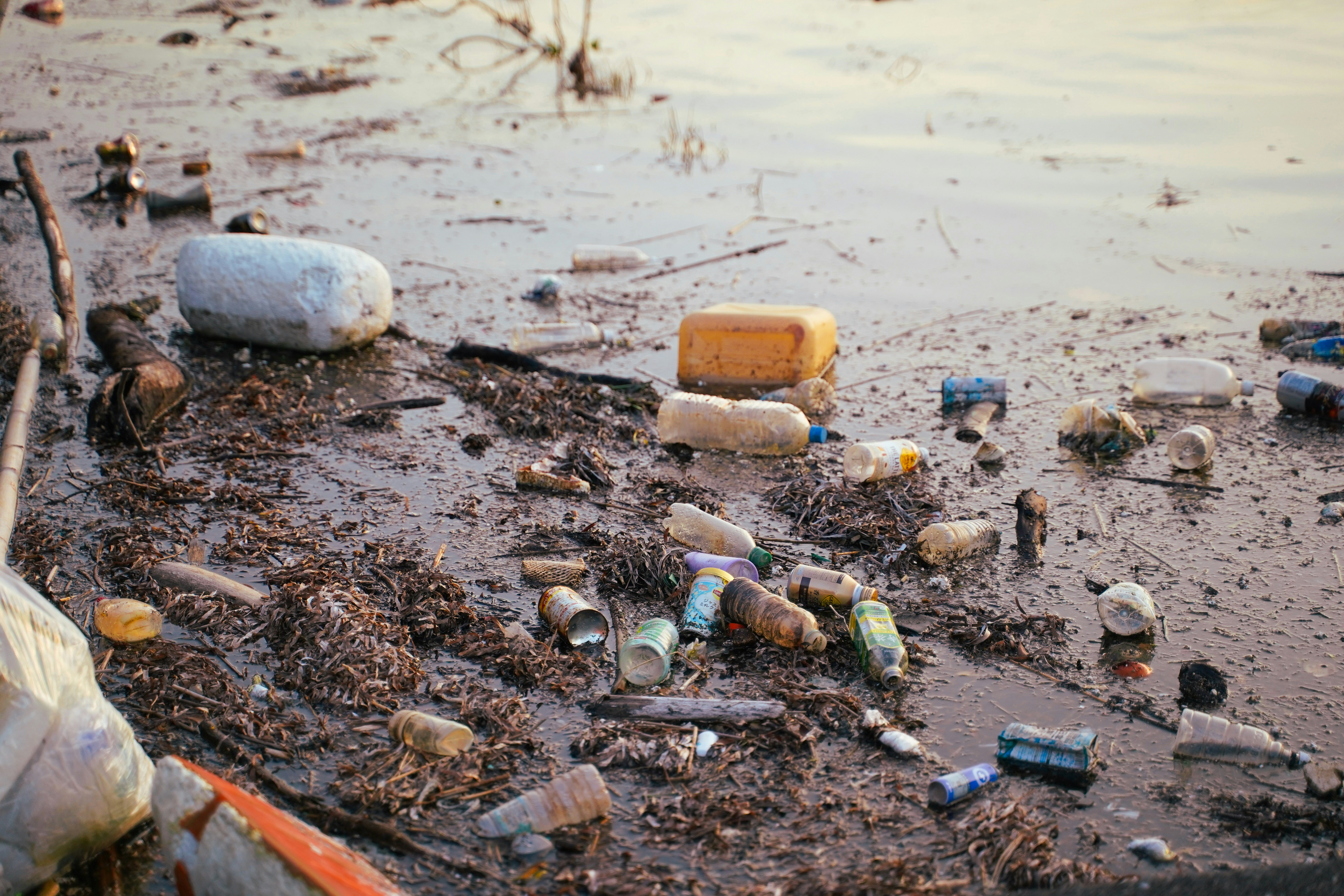 scattered plastic debris washed up on a beach