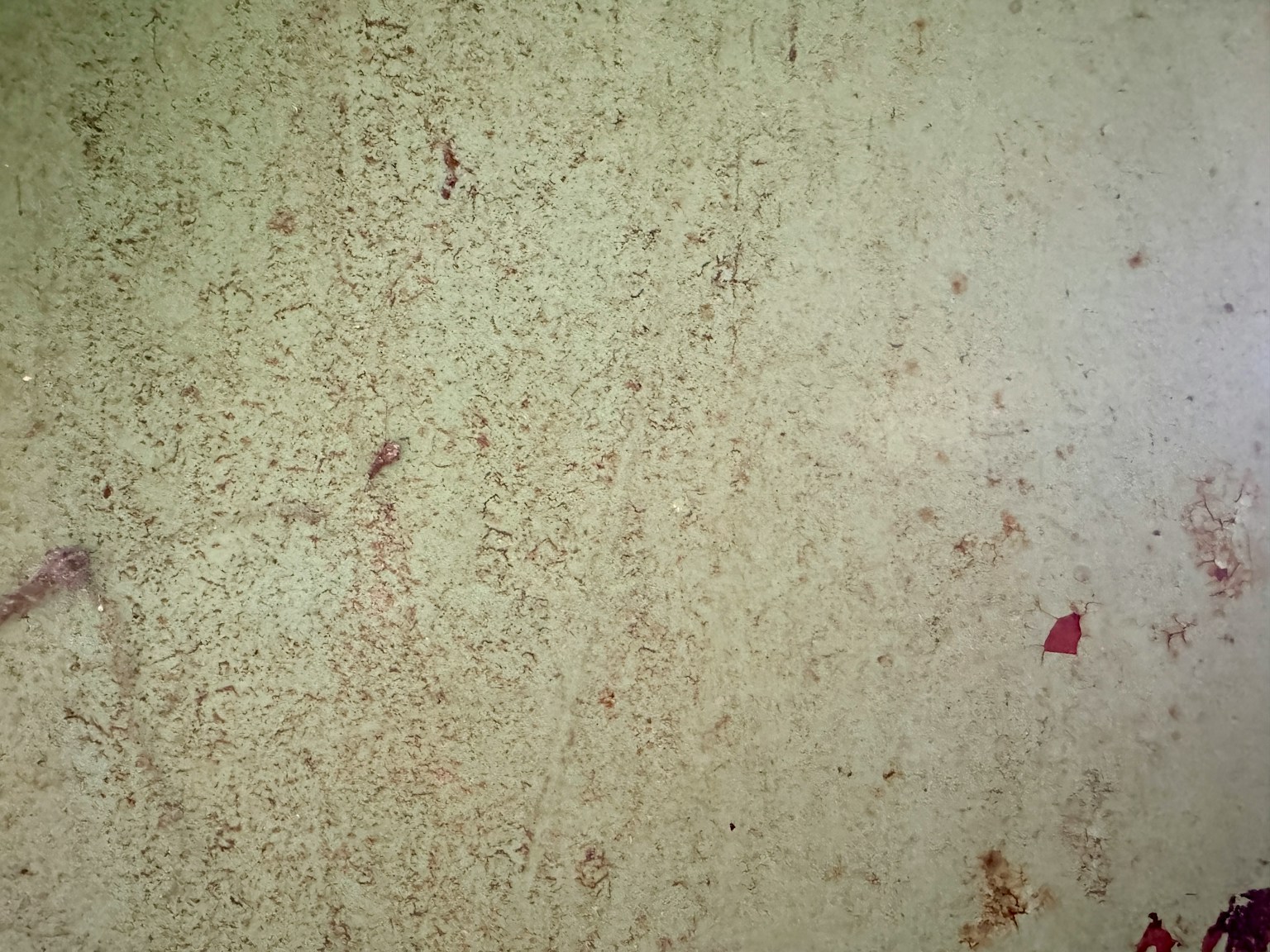 质感墙面呈绿色调和红色斑点