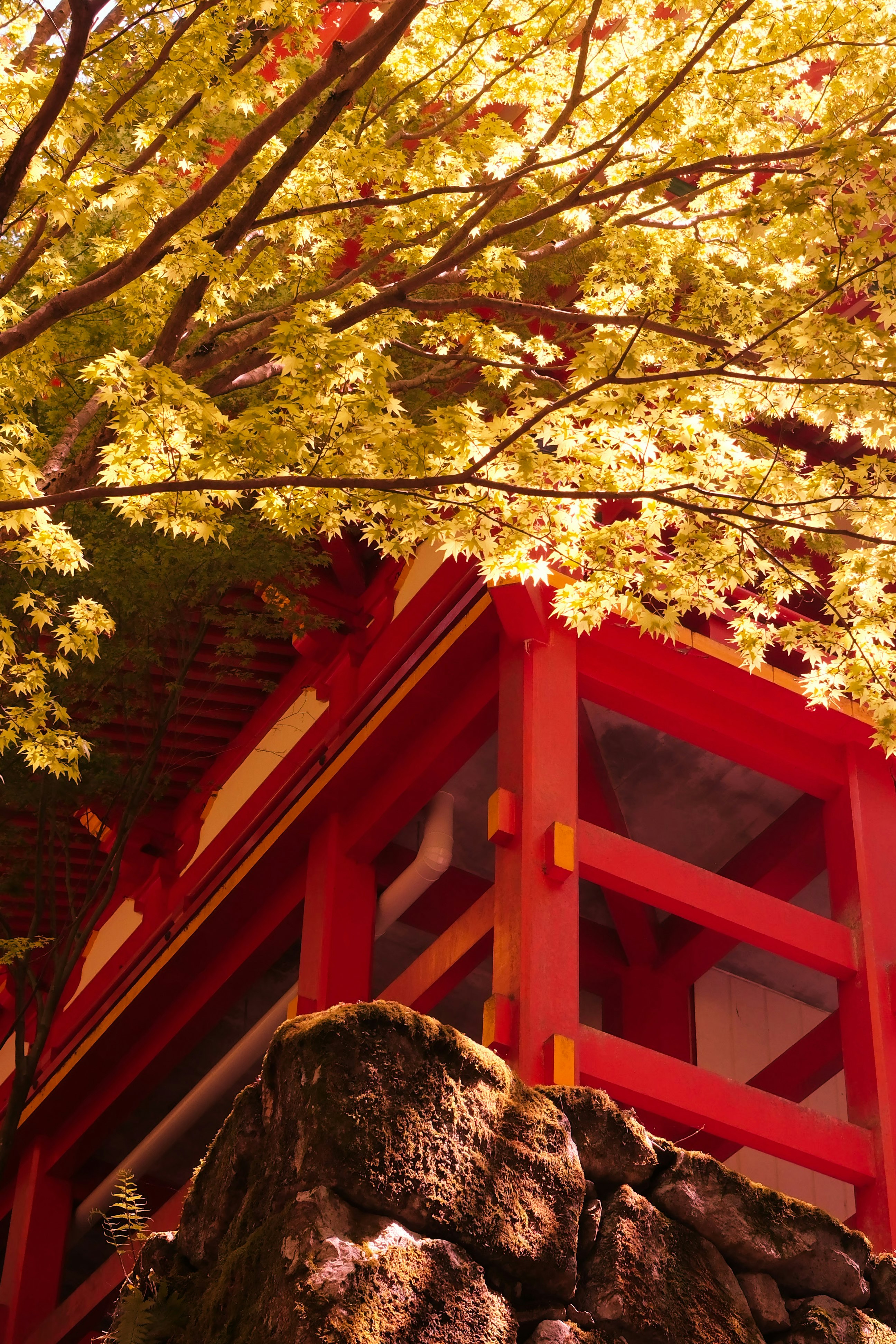 滋賀の横川中堂の朱塗りの建物と紅葉の枝