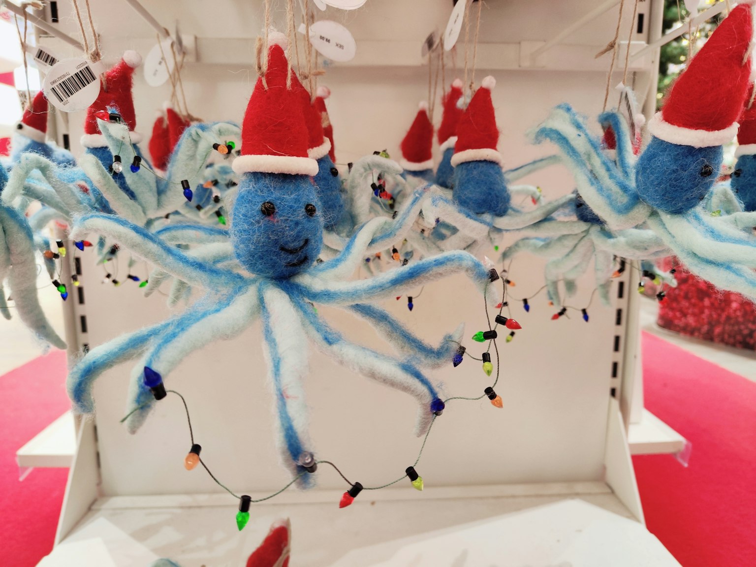 Polpi blu con cappelli di Babbo Natale circondati da luci colorate
