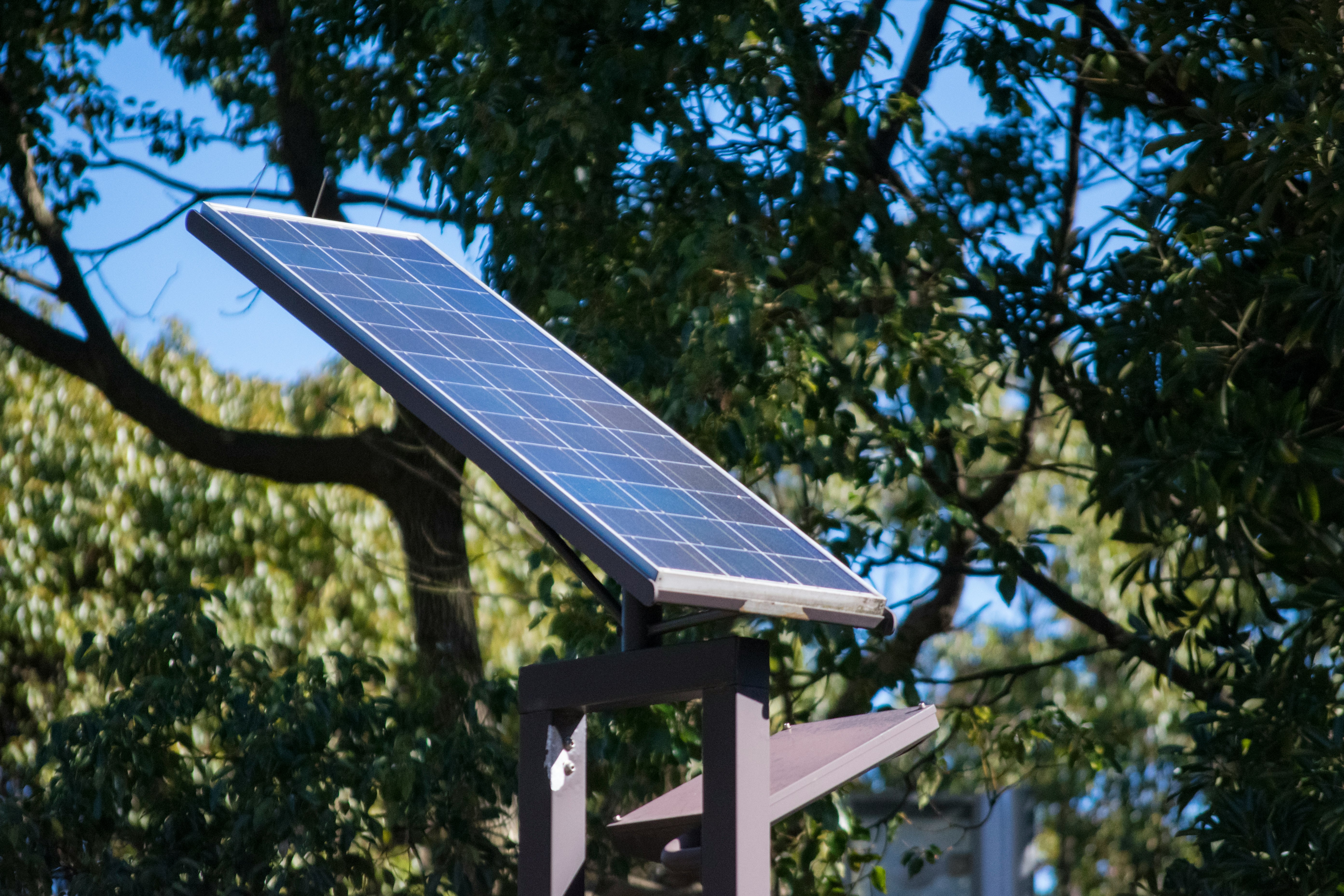 escena exterior con un panel solar montado cerca de las ramas de los árboles
