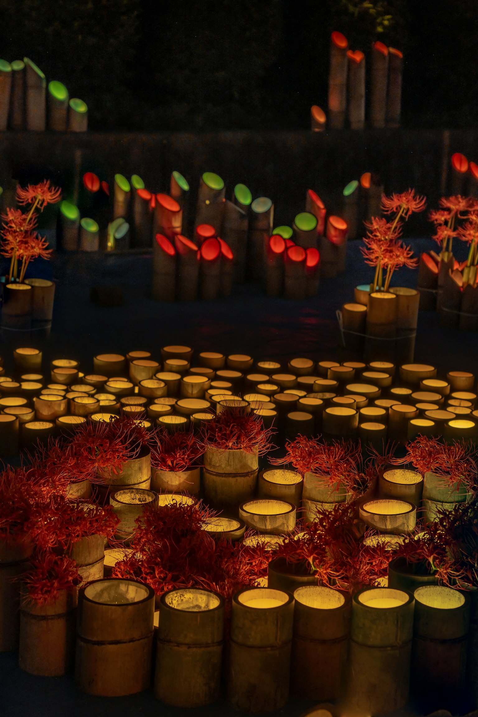 photo-5HByKKOonQ1lQ5MwRWSv-image