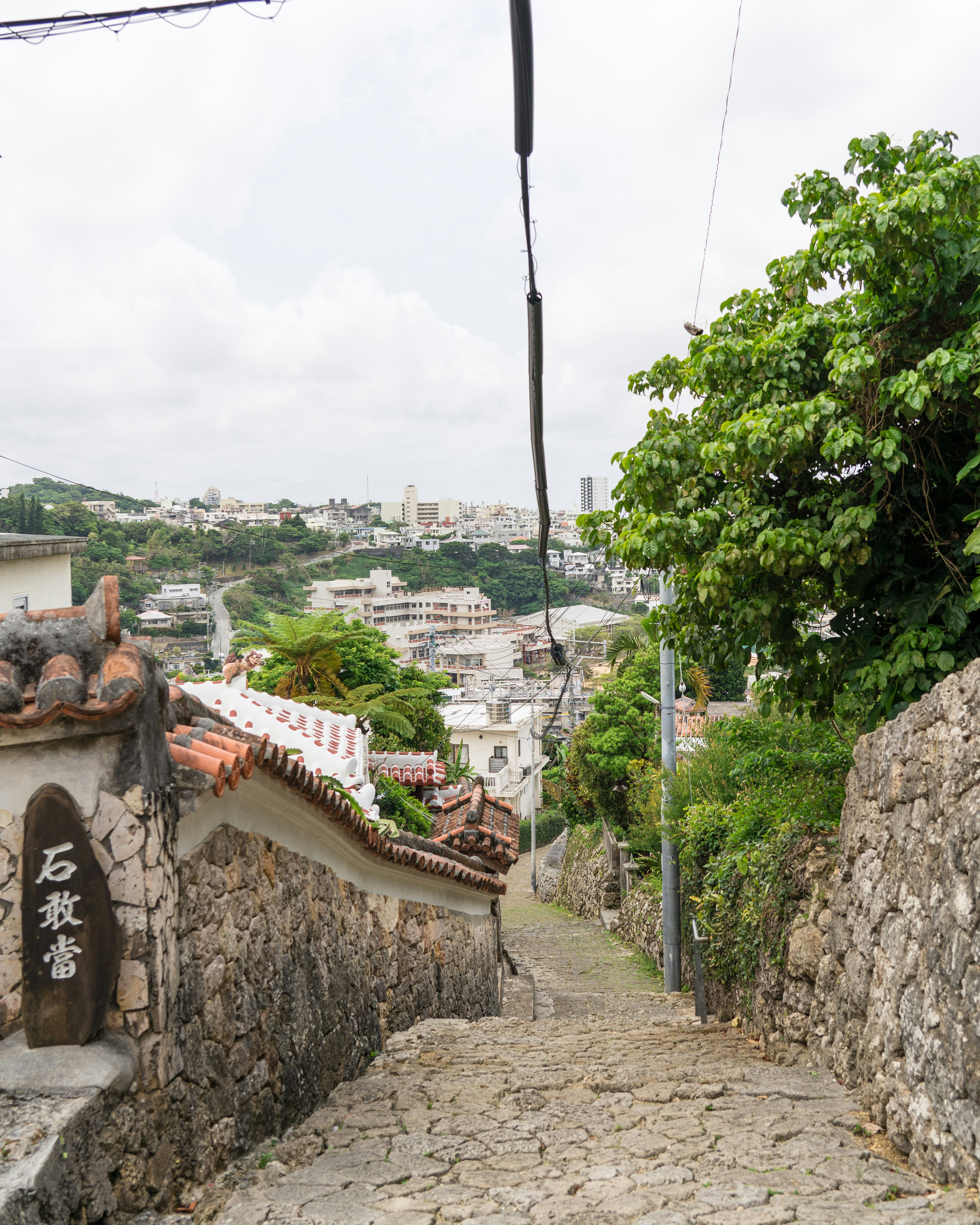 callejón verde con muros de piedra y camino inclinado