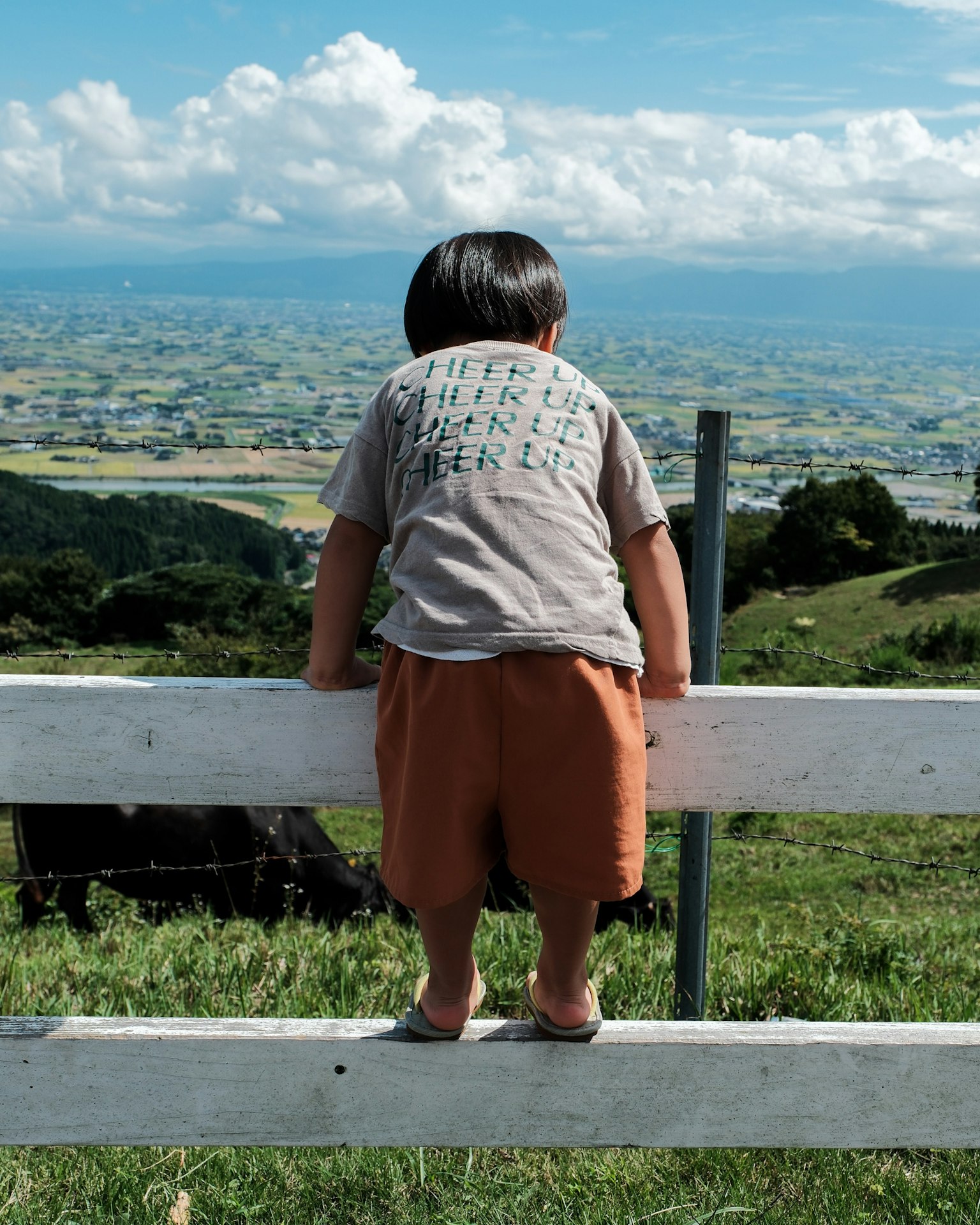 Un bambino seduto su una recinzione che guarda un paesaggio panoramico