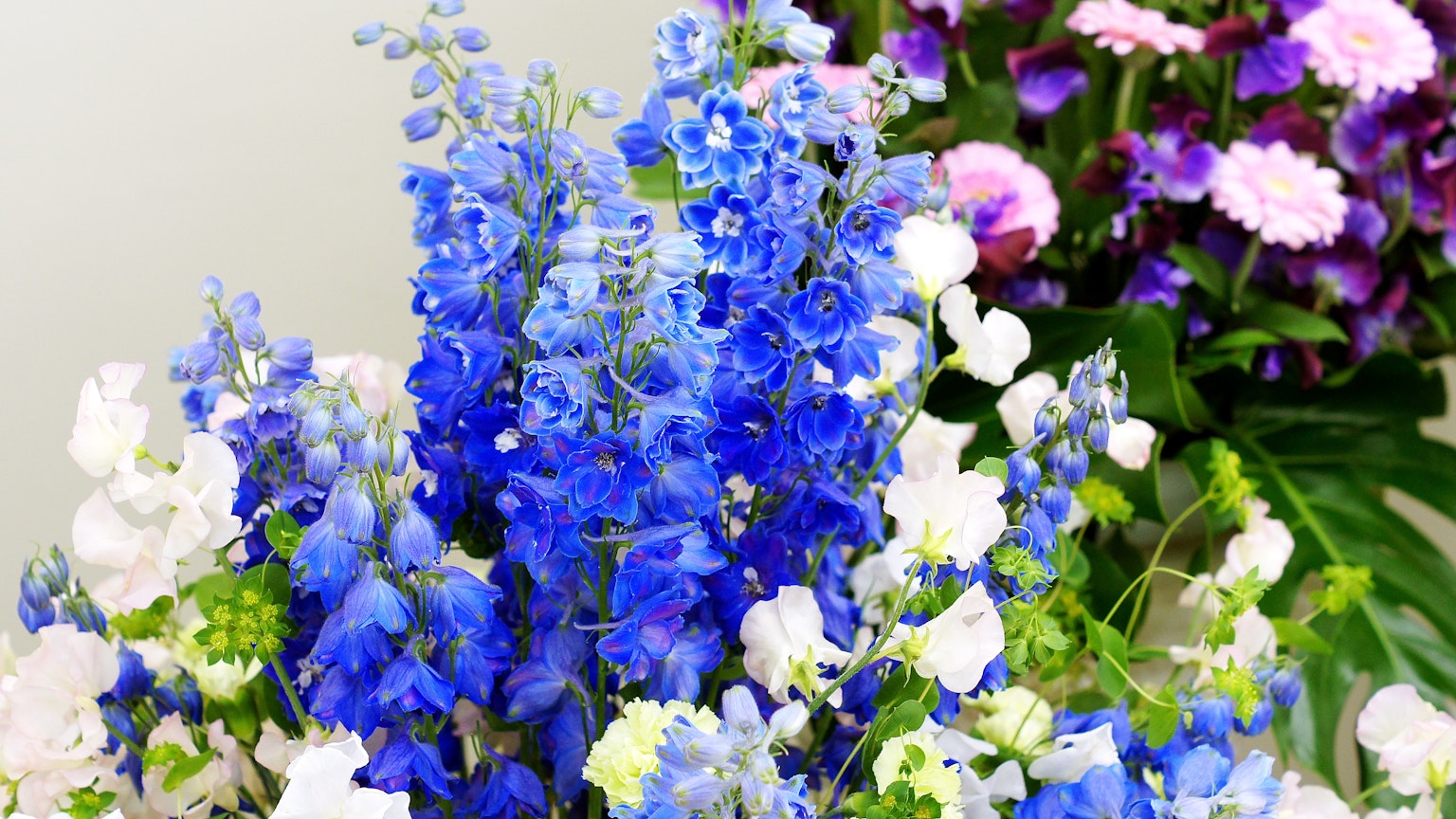 Un bouquet de fleurs bleues vives et de délicates fleurs blanches