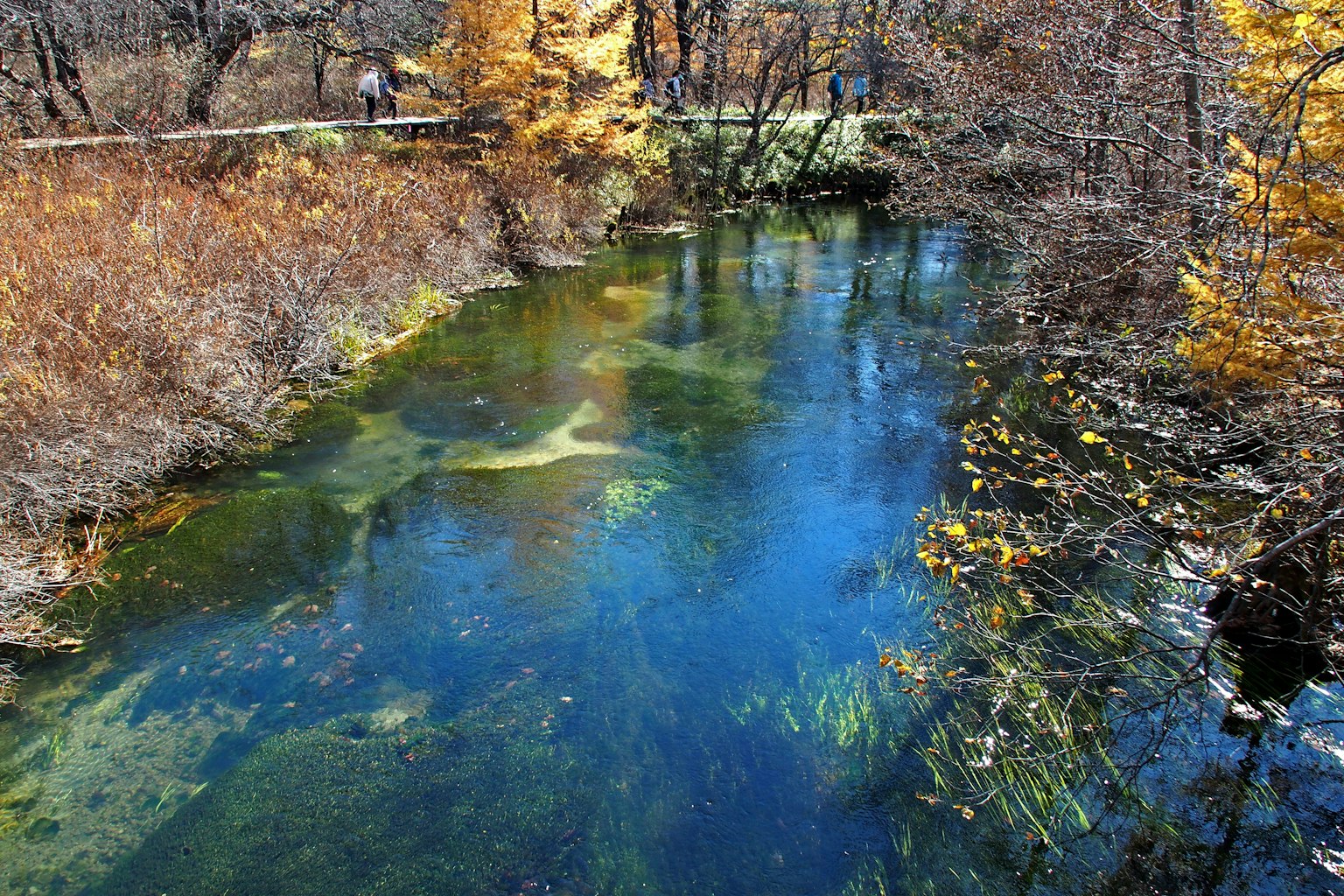 Clear flowing water surrounded by colorful autumn trees