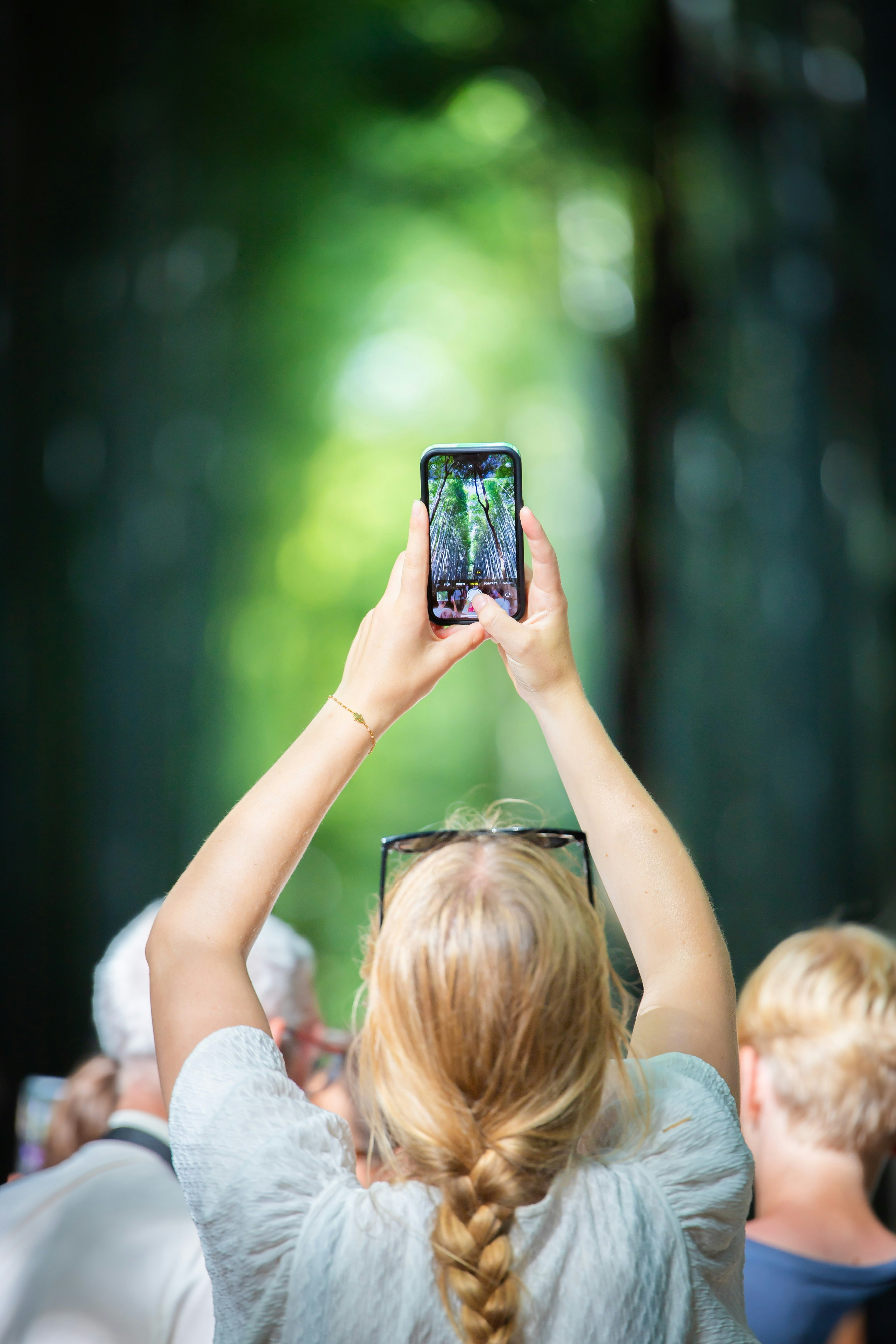 tourists from behind holding up a smartphone in a bamboo grove