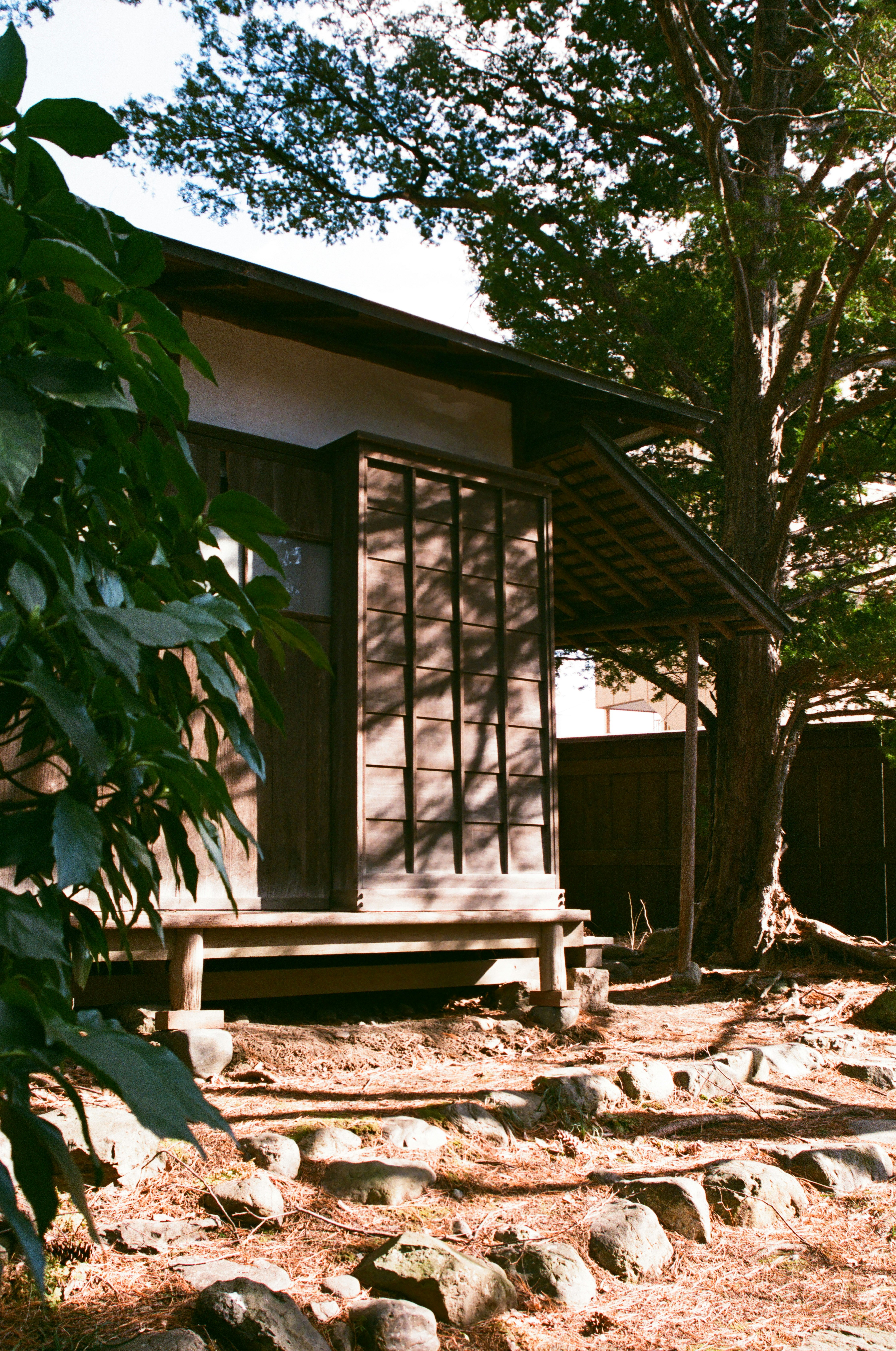 南昌荘の庭にある木造の小屋とガラス張りの建物