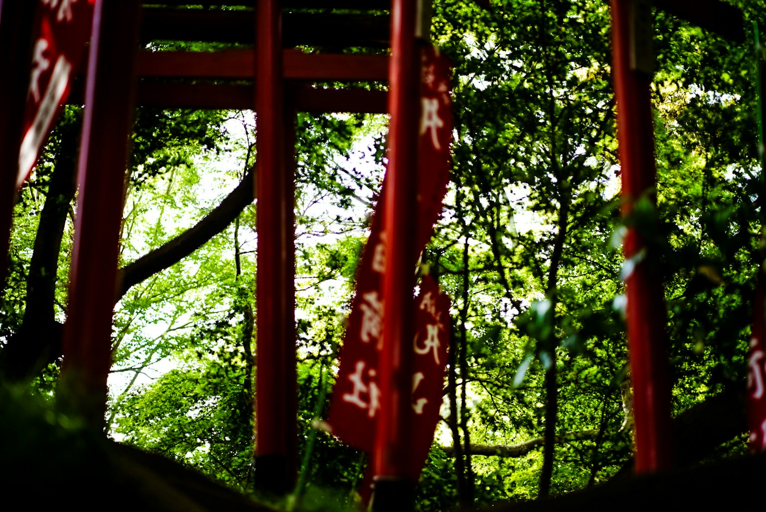 Rotes Torii und Flaggen umgeben von üppigen grünen Bäumen