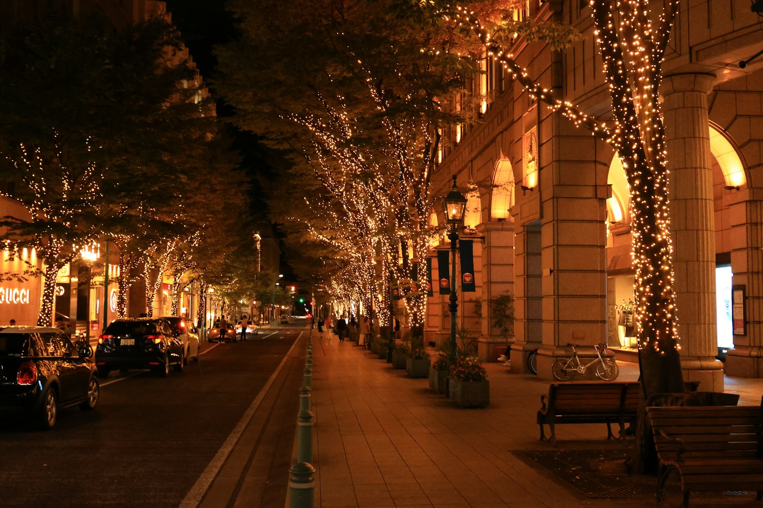 Street adorned with lights at night featuring benches and trees