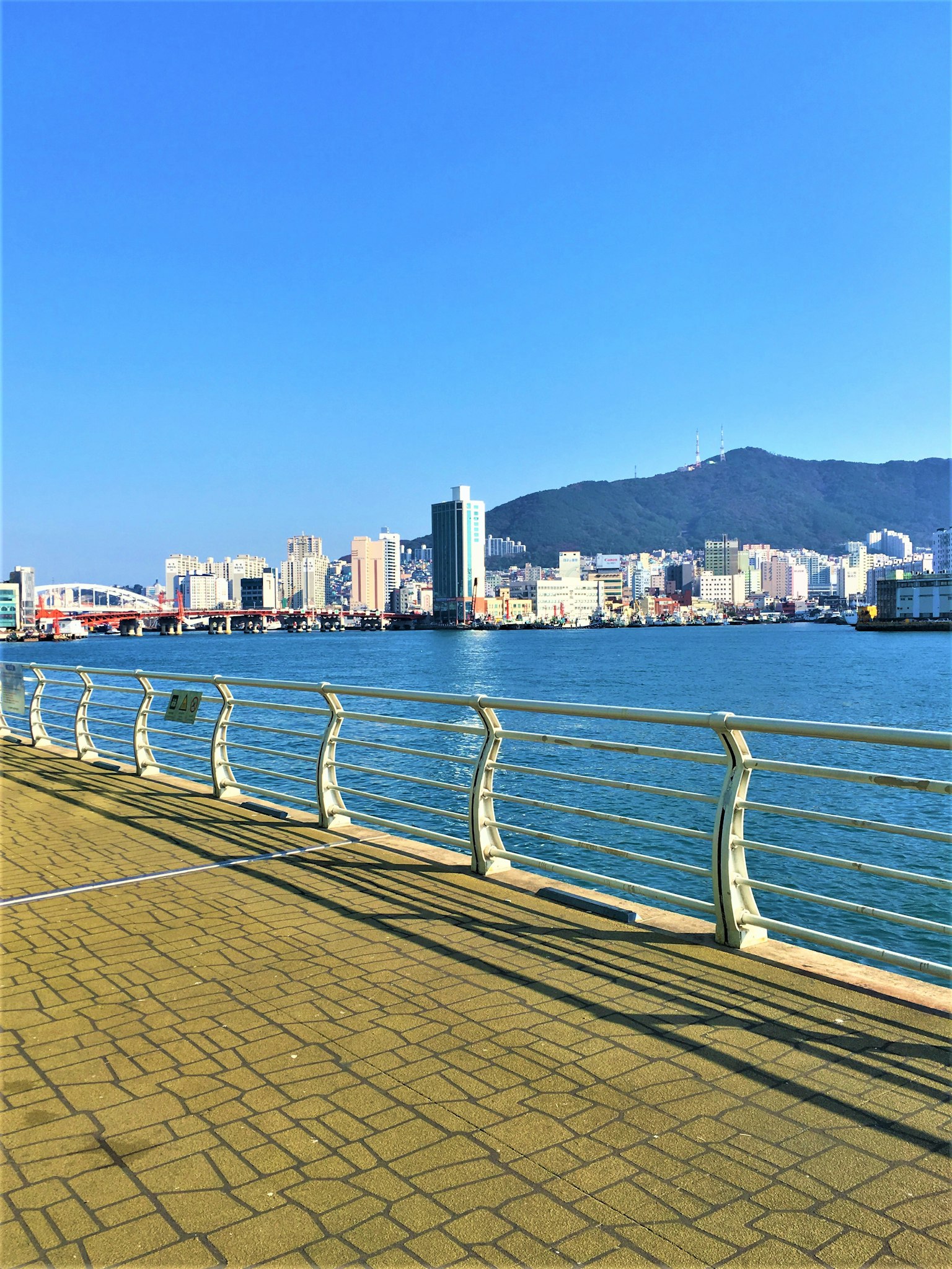 Paseo junto al mar con el horizonte de la ciudad bajo un cielo azul claro