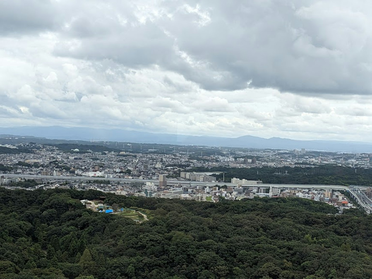 从山顶俯瞰，展现郁郁葱葱的绿地和城市景观