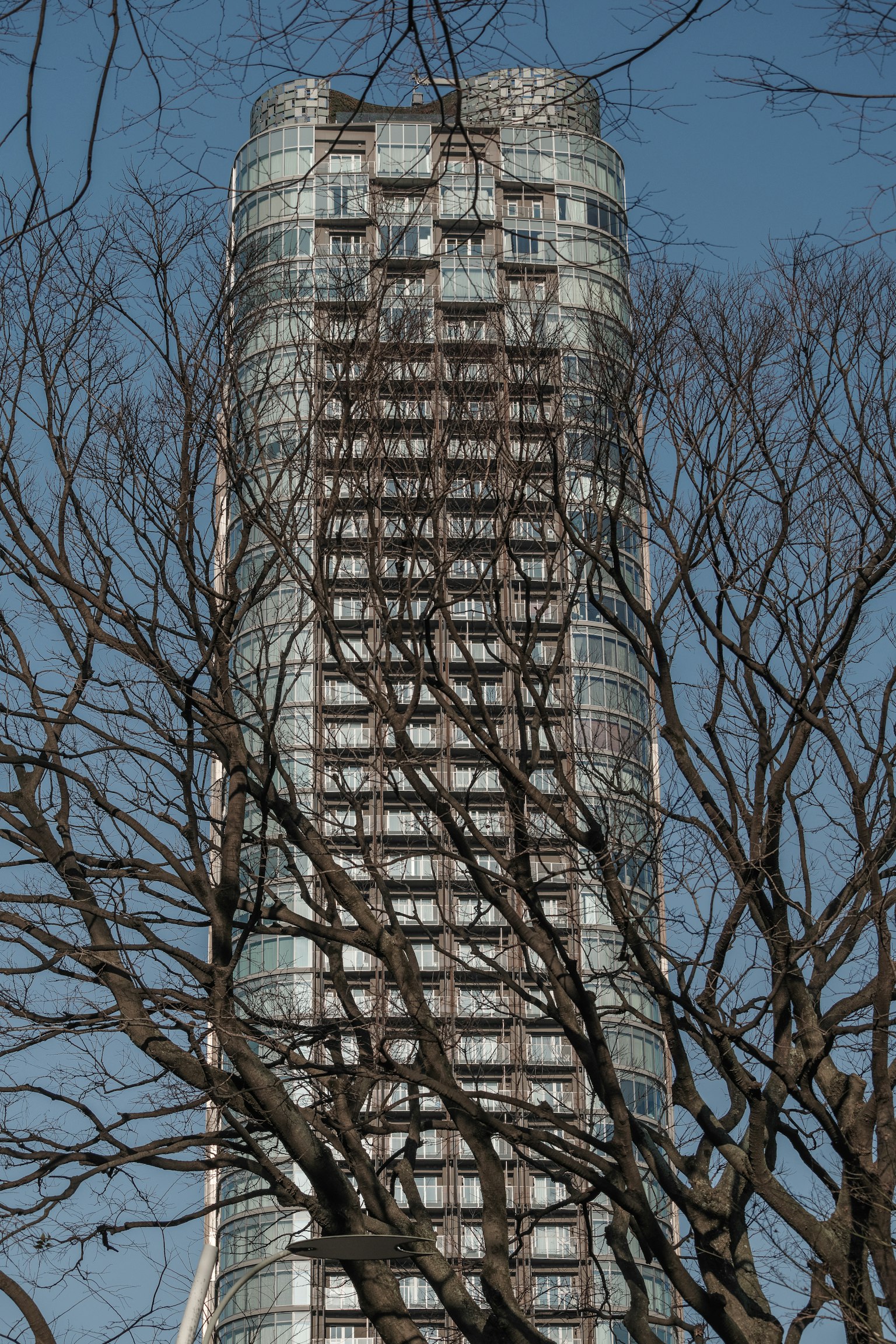 A tall building surrounded by tree branches under a blue sky