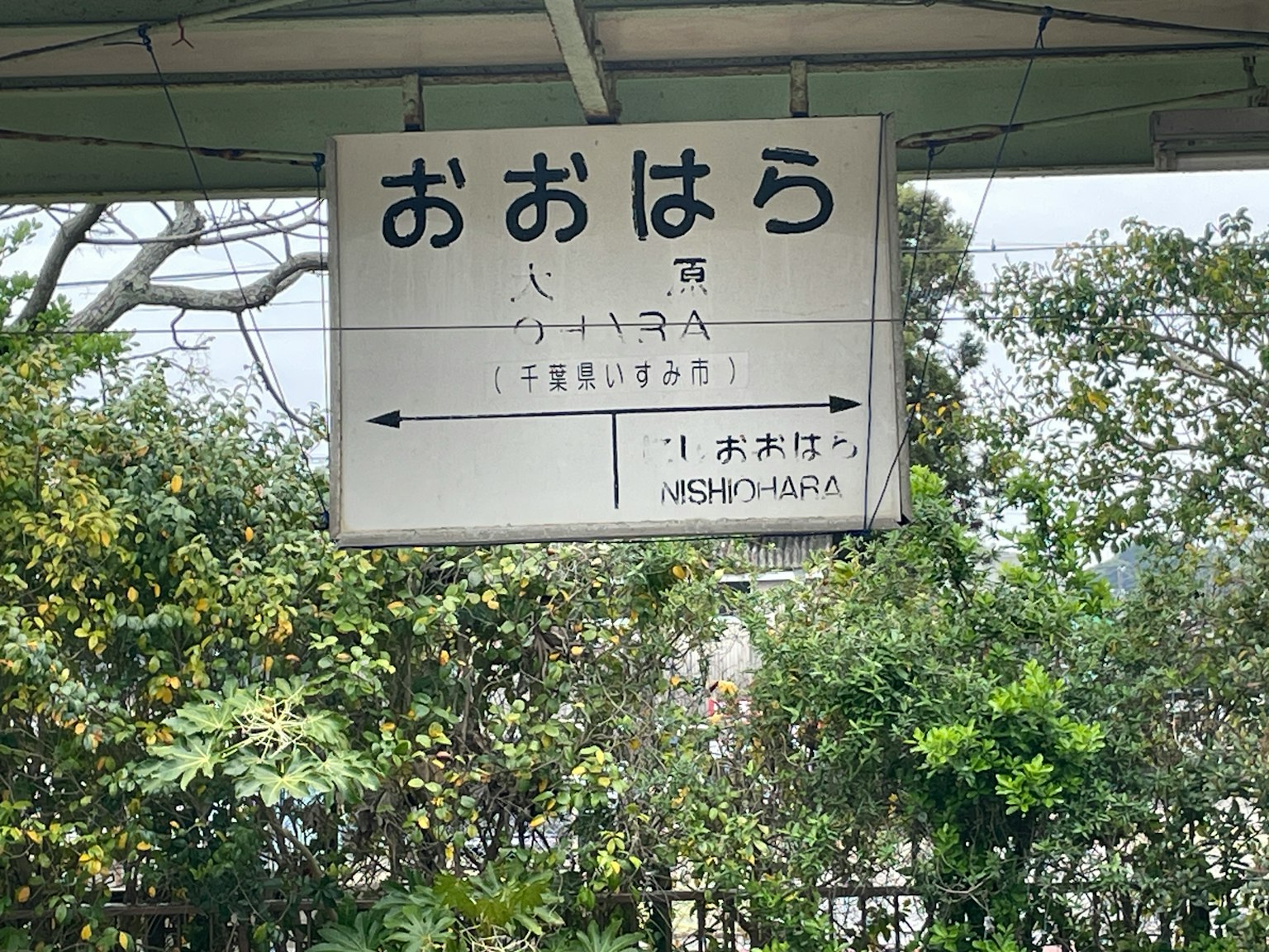Papan tanda di stasiun menampilkan 'Oohara' dalam bahasa Jepang dengan vegetasi di sekitarnya