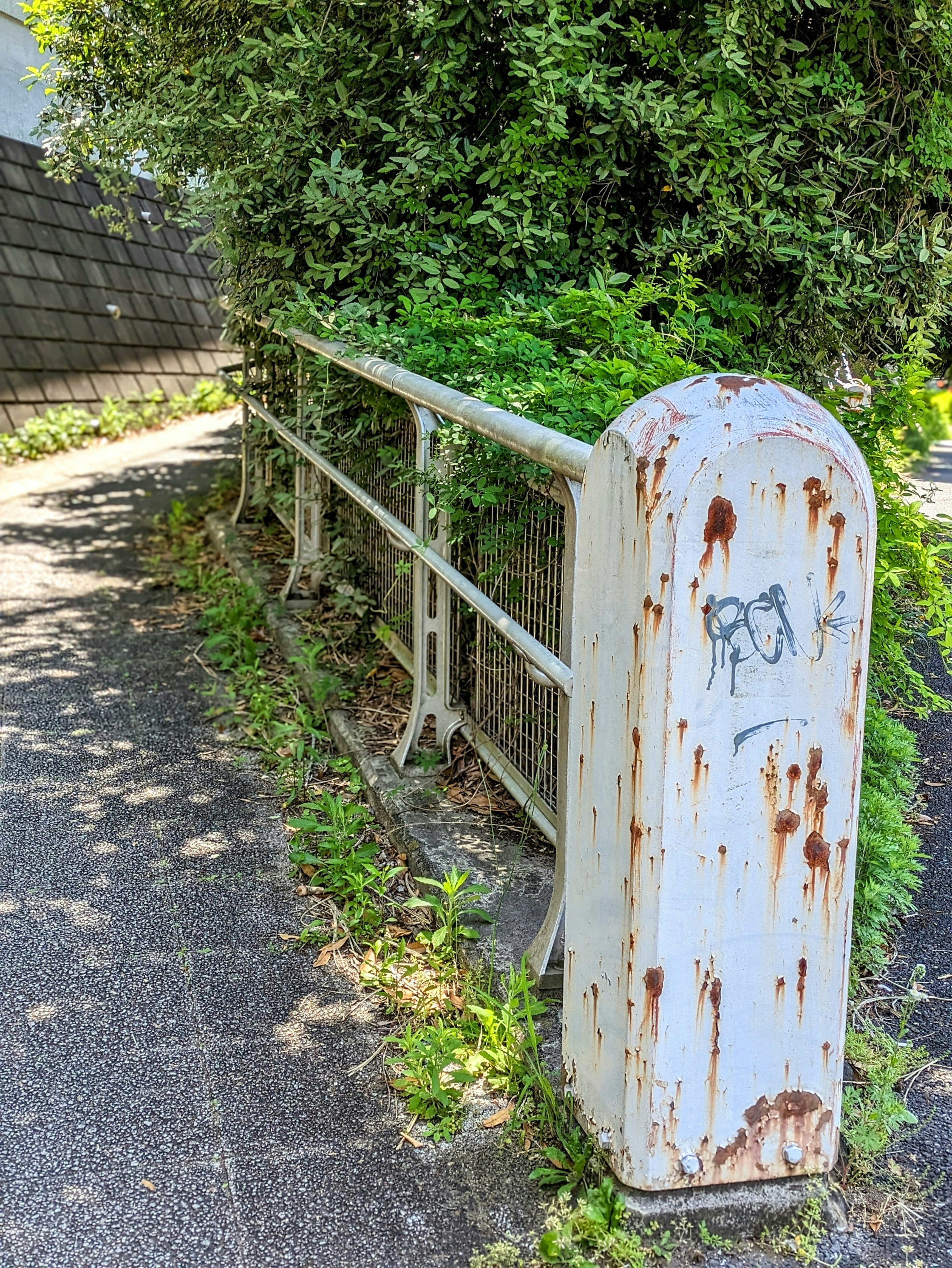 緑の木々に囲まれた坂道の手すりと錆びた白いゴミ箱