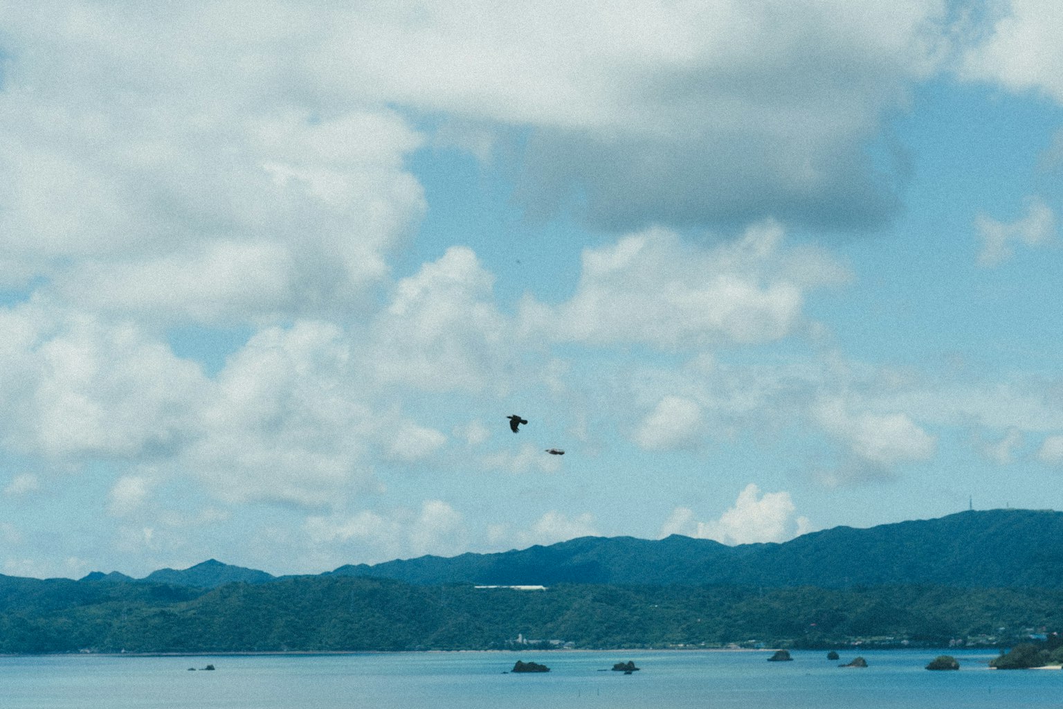 Eine malerische Aussicht auf das blaue Meer und den bewölkten Himmel mit einem kleinen Boot und einem fliegenden Vogel