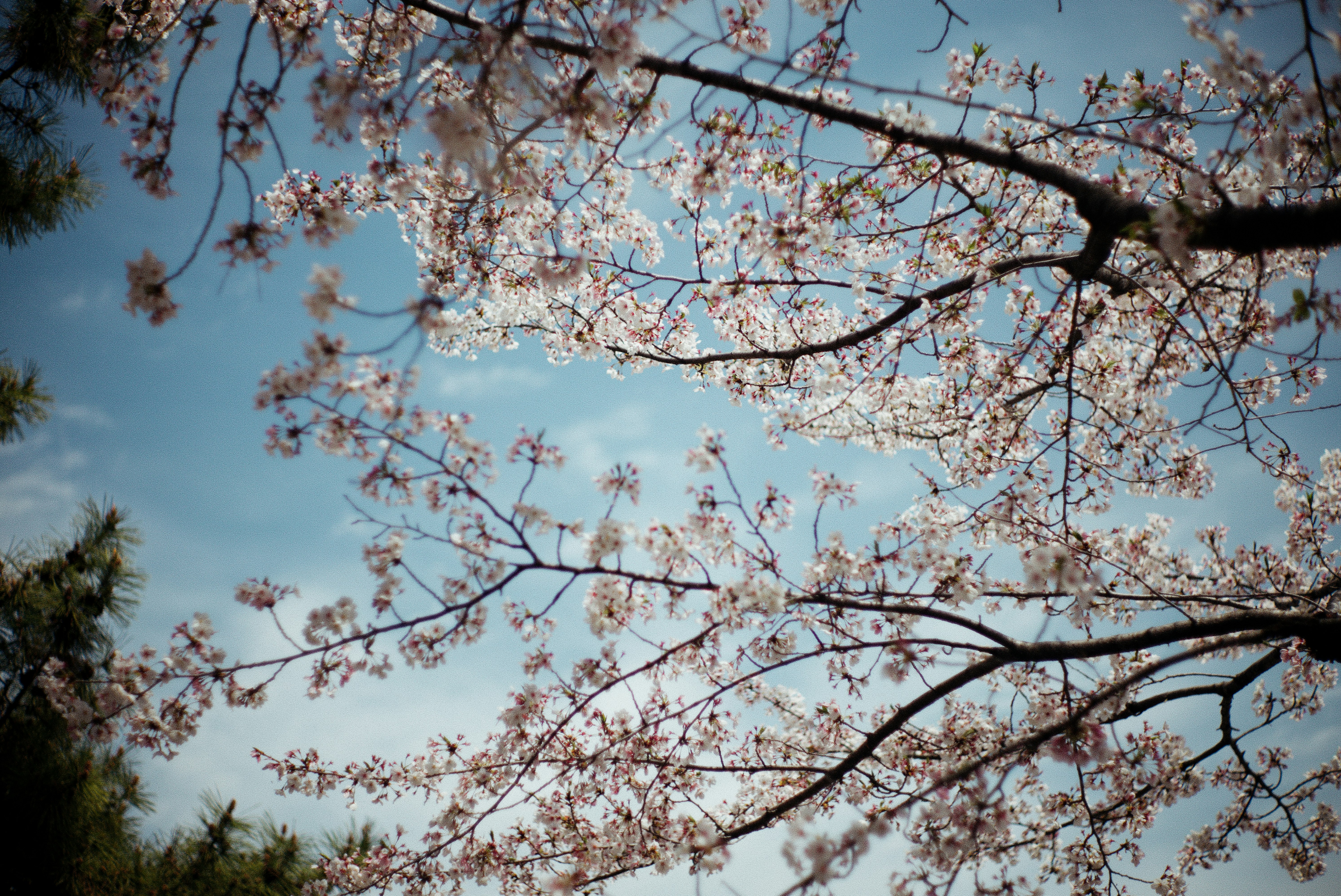 photo-5KniOFgNlHPu6kNLGWSW-image