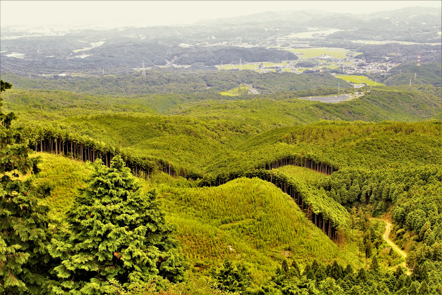 Landschaft mit grünen Bergen und Tälern