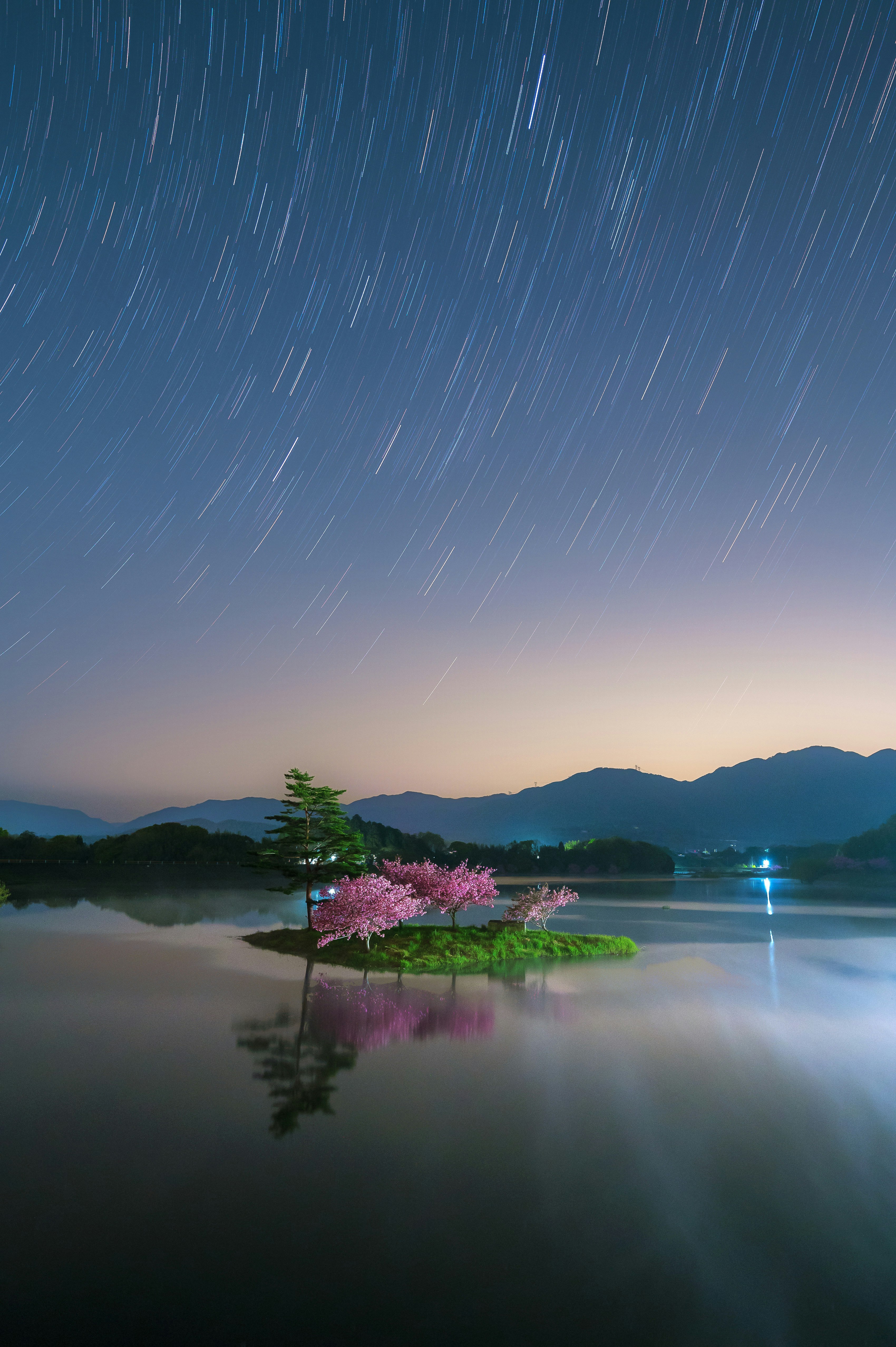 日野川ダム湖に映る八重桜と星空の星景