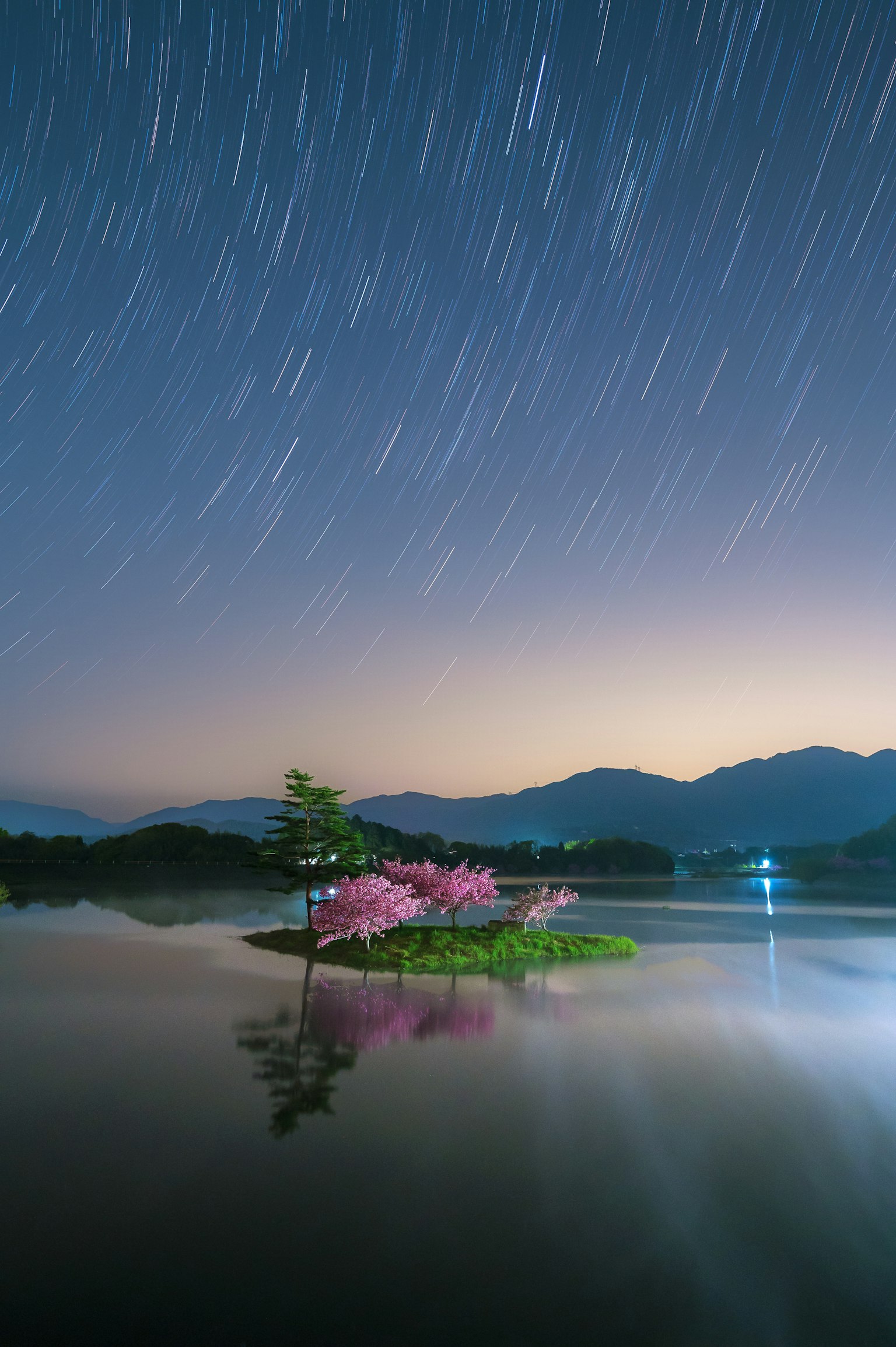 Una escena de lago tranquila con un árbol de cerezo reflejándose en el agua y estelas de estrellas en el cielo nocturno