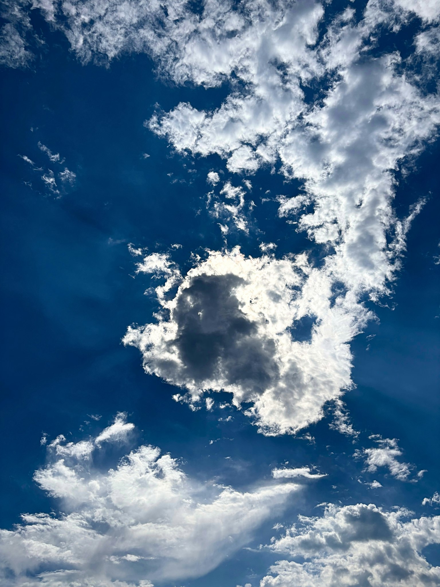 photo-5LD78anb645xrDQiz1h3-image