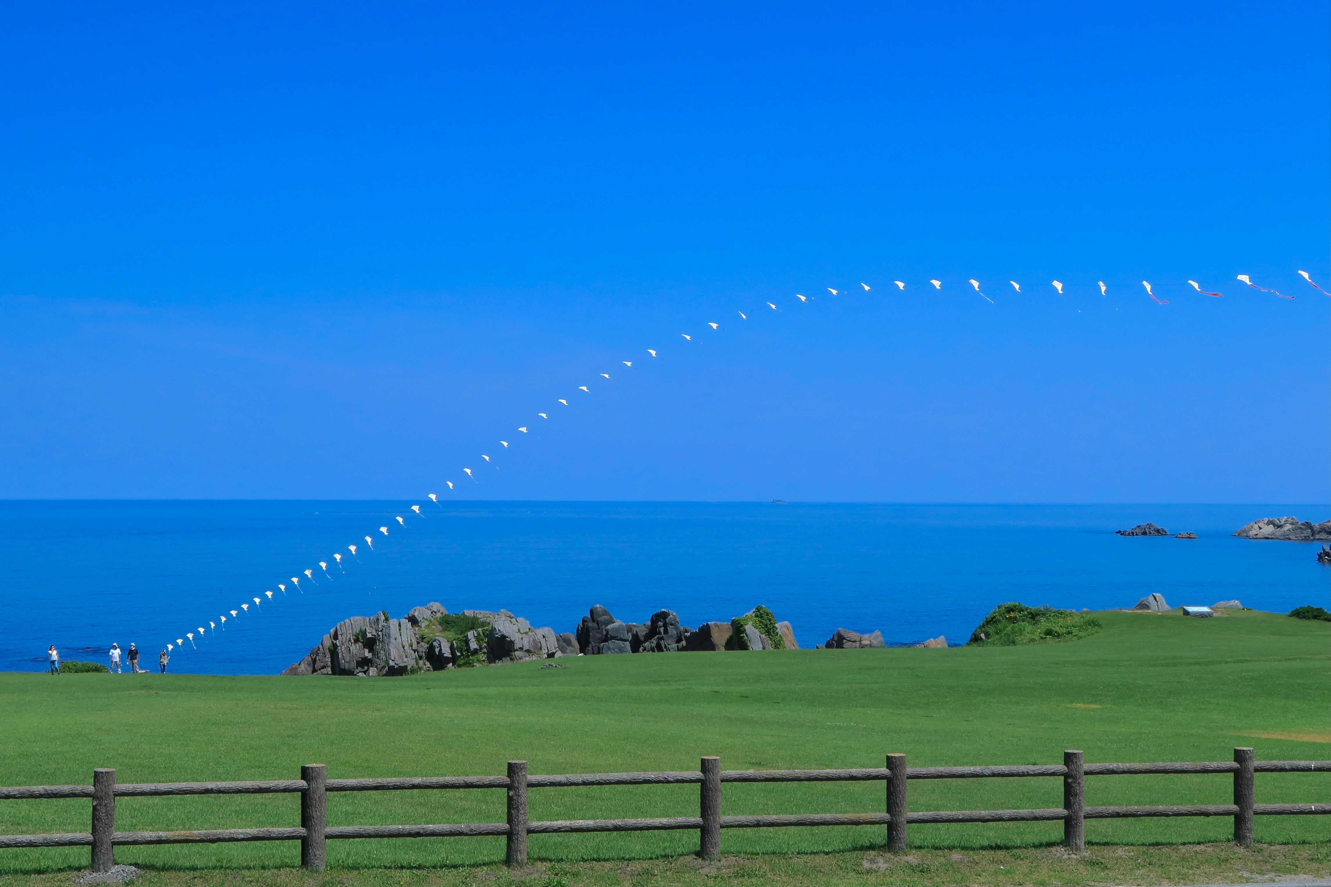 Natural-grass lawn at Tanesashi Coast in Hachinohe, Aomori, with a blue sea and a kite arc in the sky