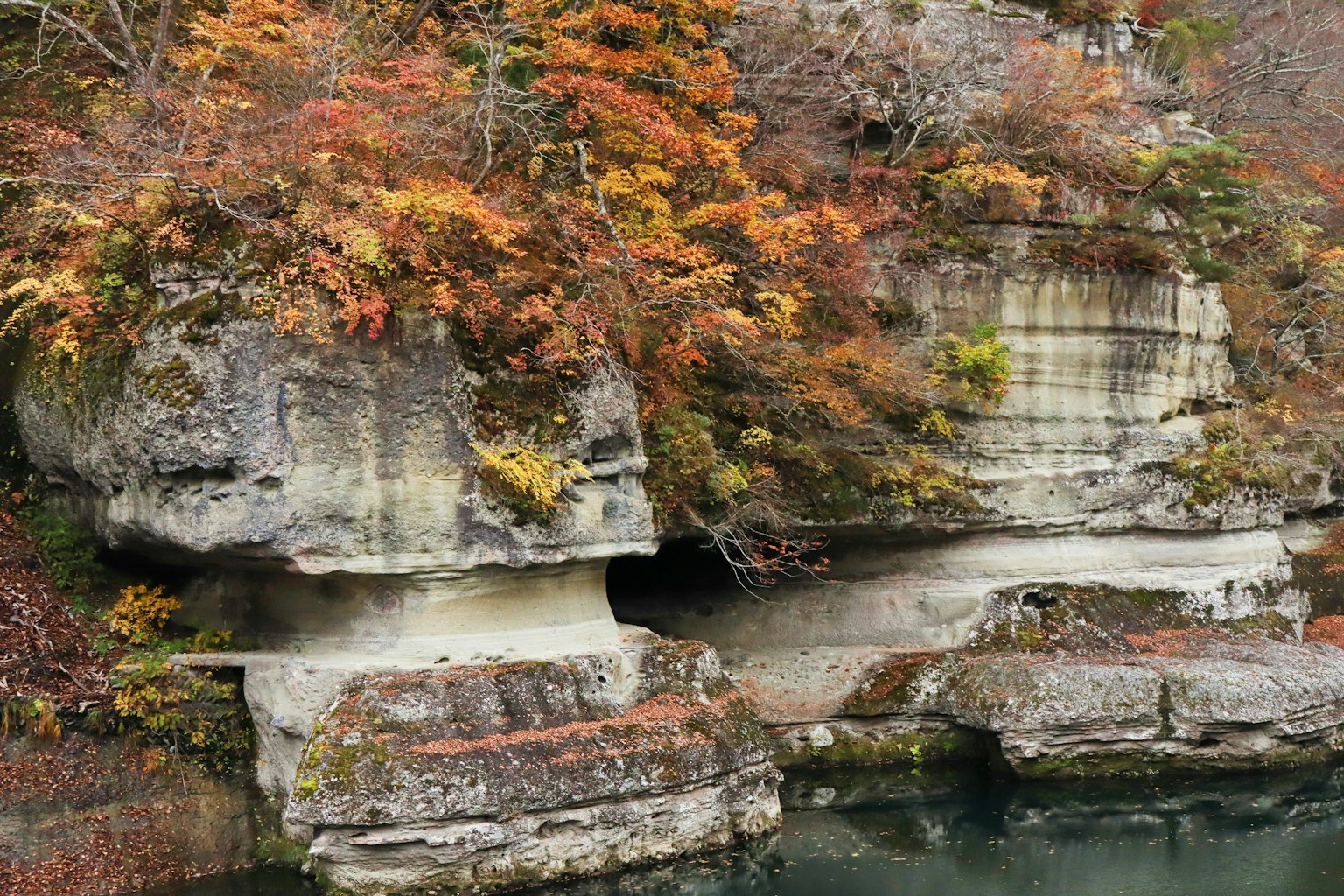 ทิวทัศน์ที่สวยงามของใบไม้เปลี่ยนสีบนหน้าผาหินข้างแม่น้ำ